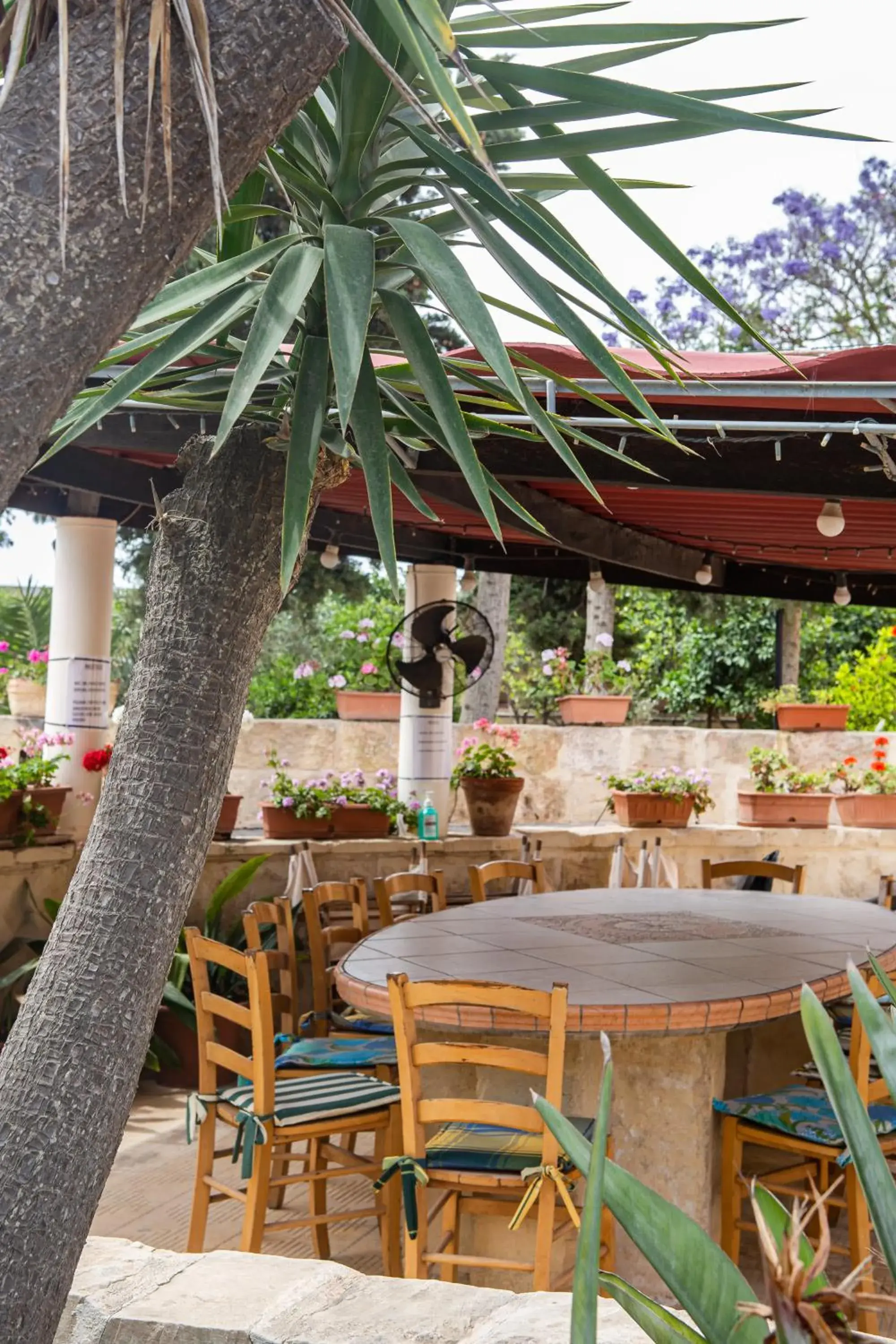 Garden in Ta' Bertu Host Family Bed & Breakfast Garden in Ta' Bertu Host Family Bed & Breakfast