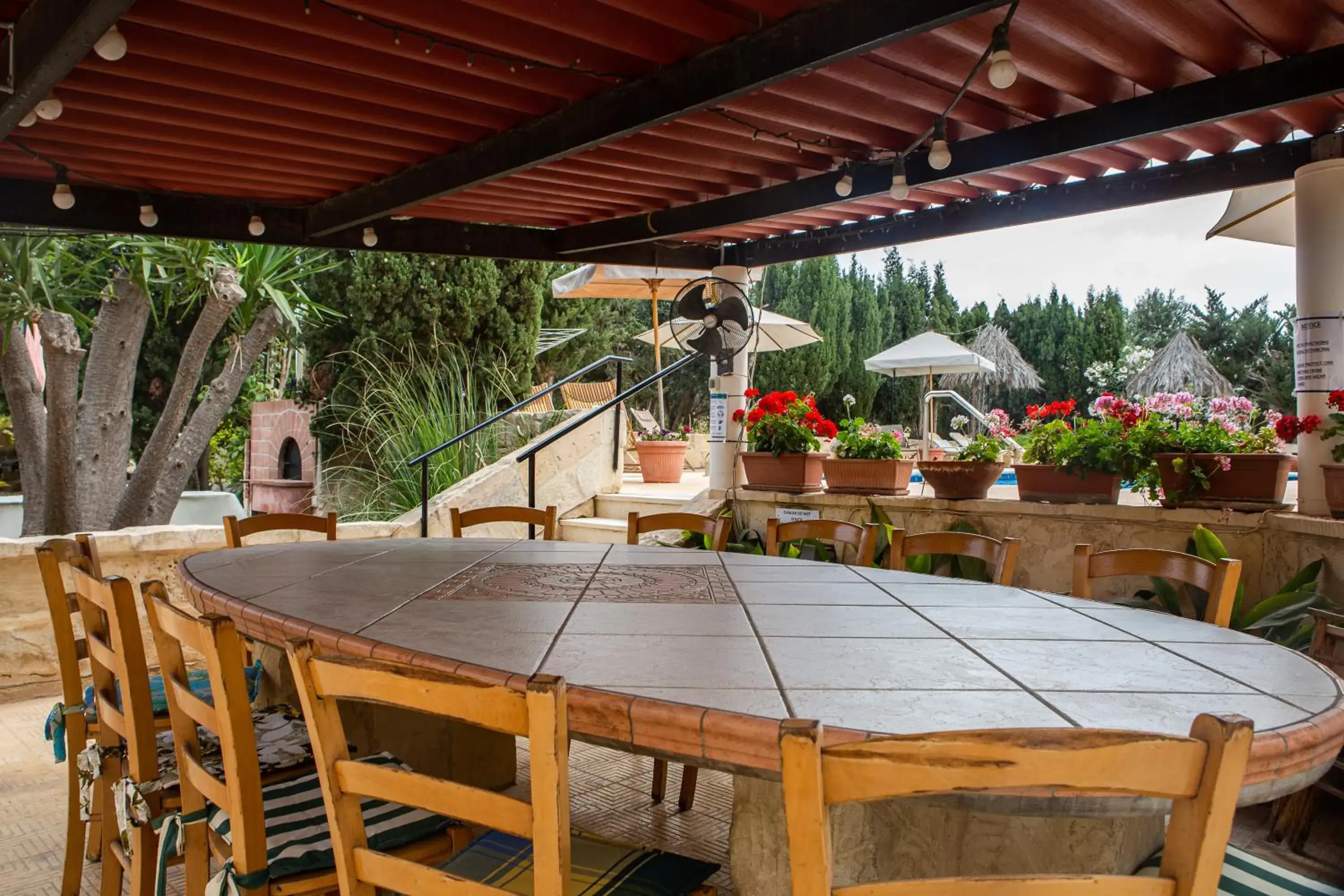 Garden in Ta' Bertu Host Family Bed & Breakfast Garden in Ta' Bertu Host Family Bed & Breakfast