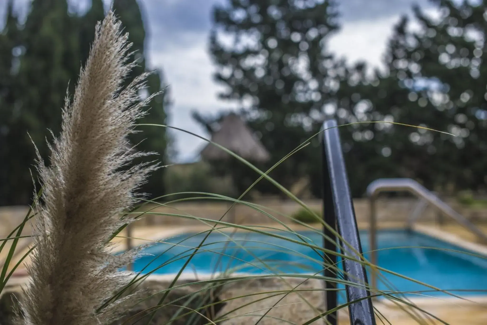 Other in Ta' Bertu Host Family Bed & Breakfast Other in Ta' Bertu Host Family Bed & Breakfast