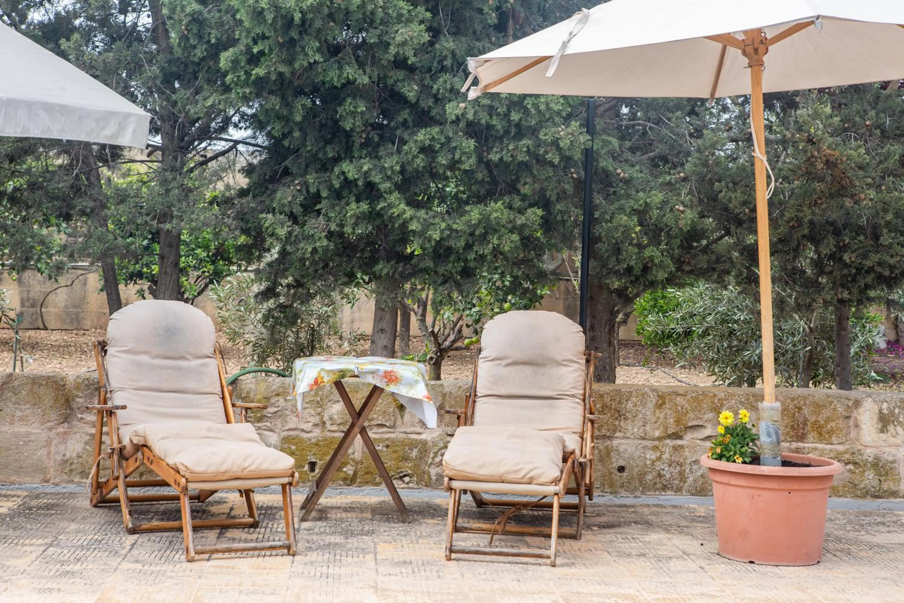 Swimming pool in Ta' Bertu Host Family Bed & Breakfast