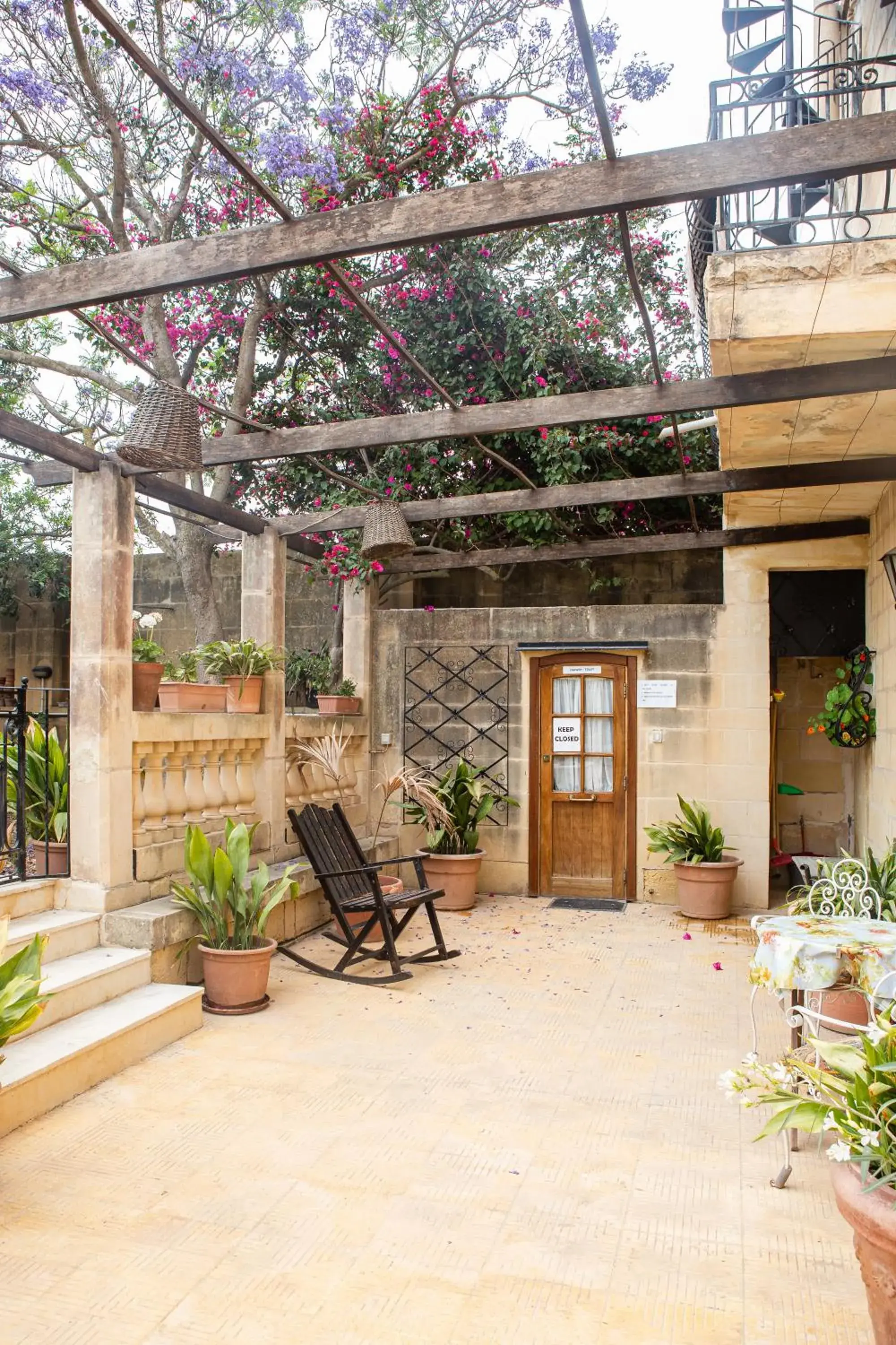 Garden in Ta' Bertu Host Family Bed & Breakfast Garden in Ta' Bertu Host Family Bed & Breakfast