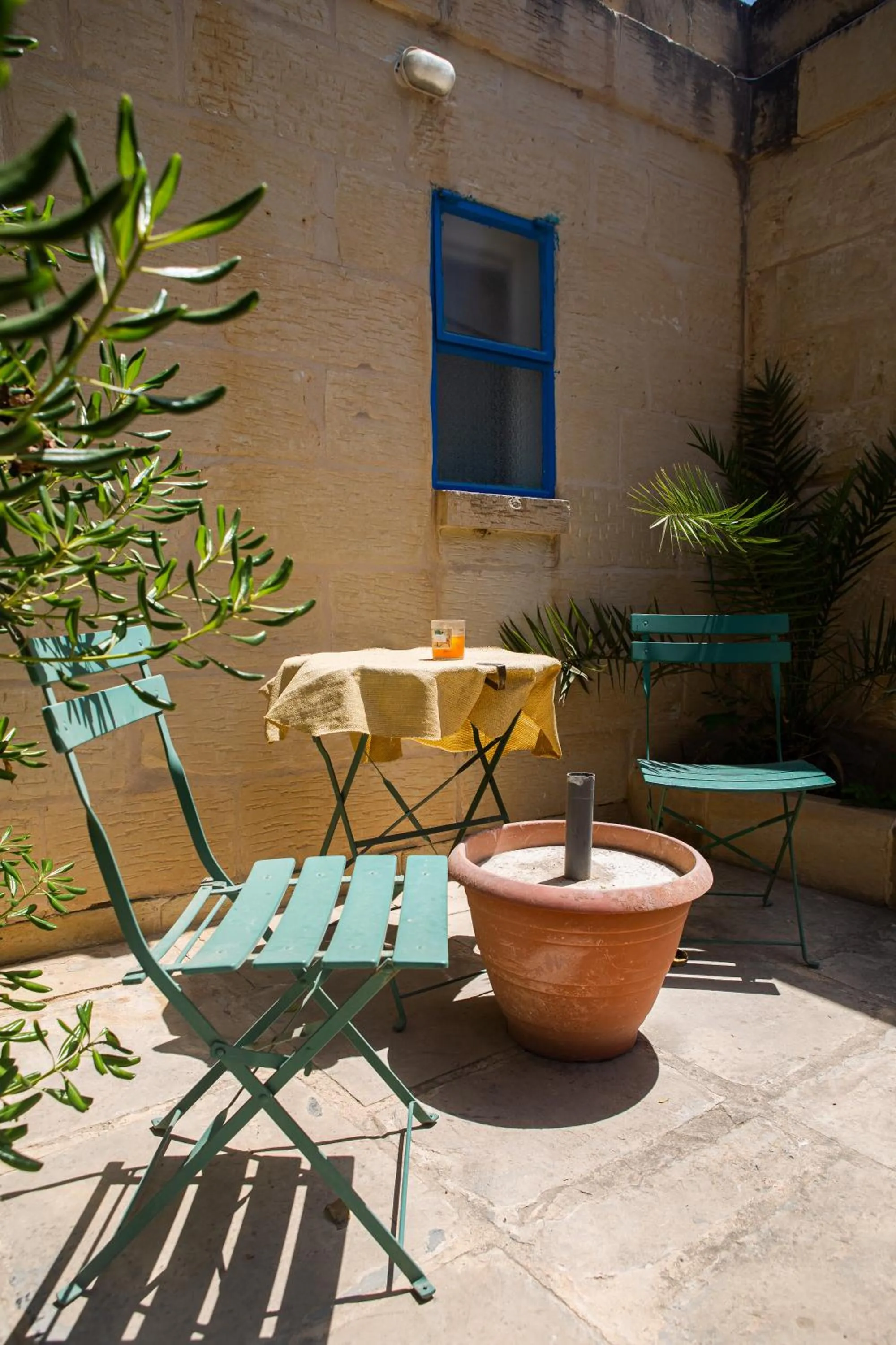 Garden in Ta' Bertu Host Family Bed & Breakfast