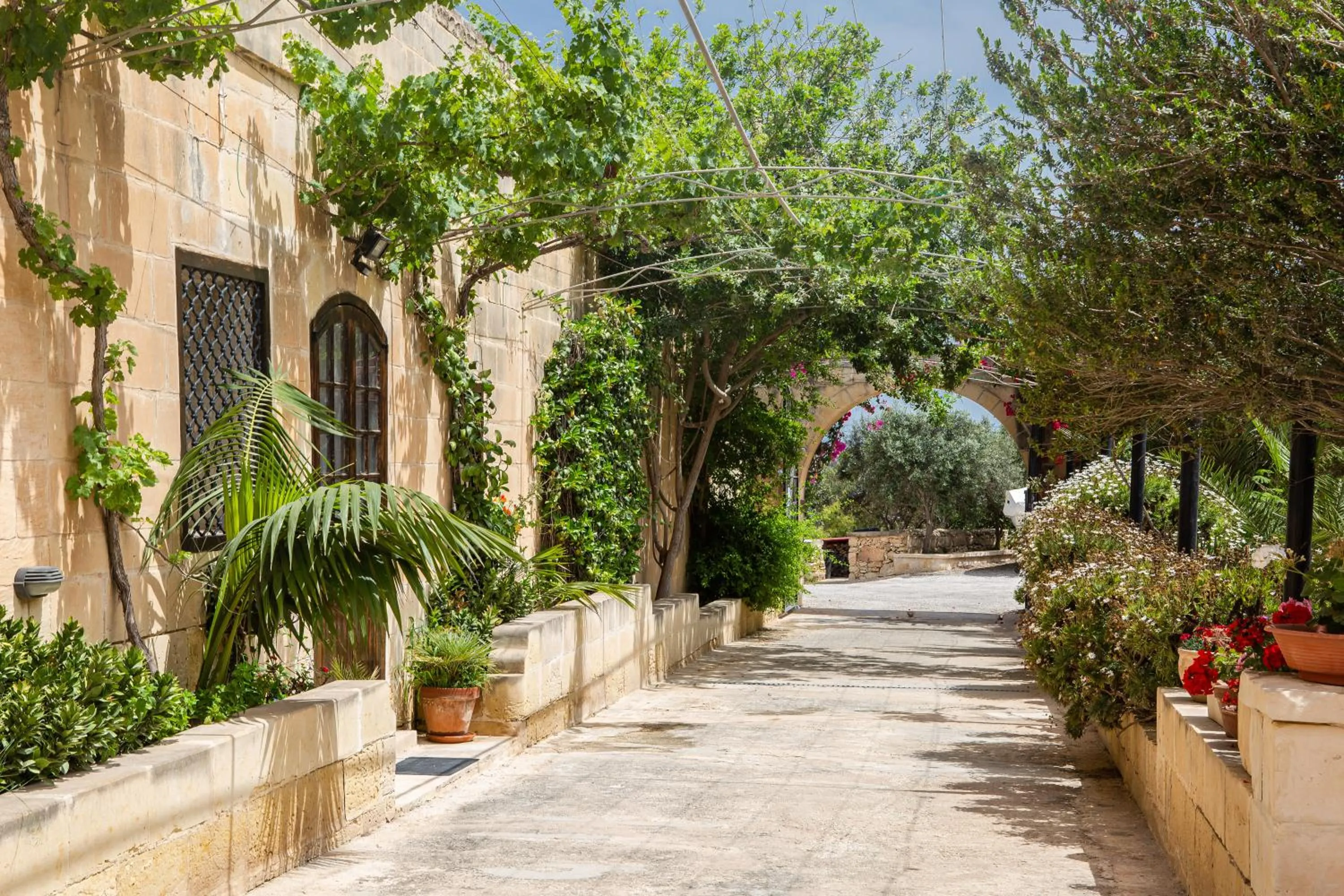 Garden in Ta' Bertu Host Family Bed & Breakfast