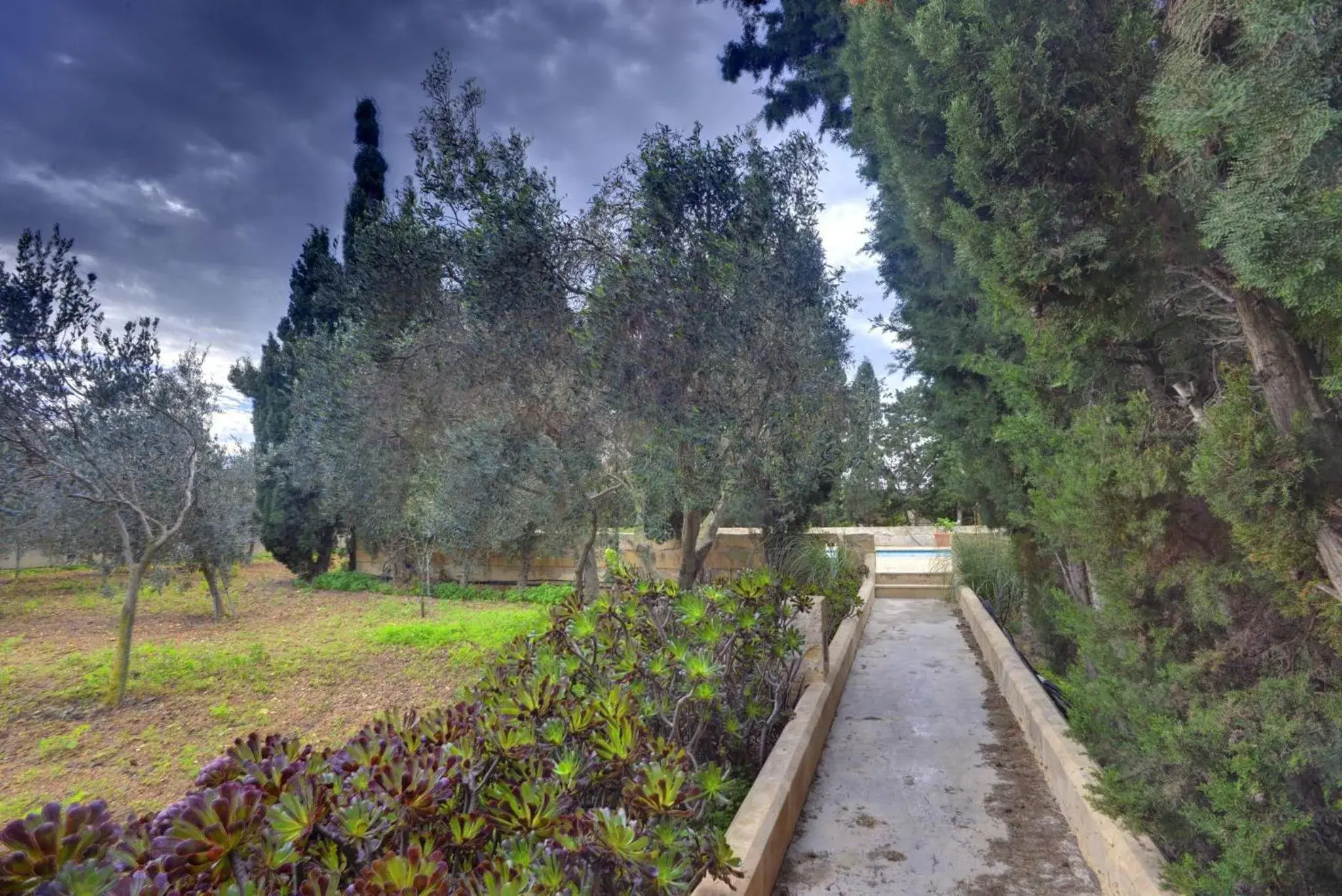 Garden in Ta' Bertu Host Family Bed & Breakfast Garden in Ta' Bertu Host Family Bed & Breakfast