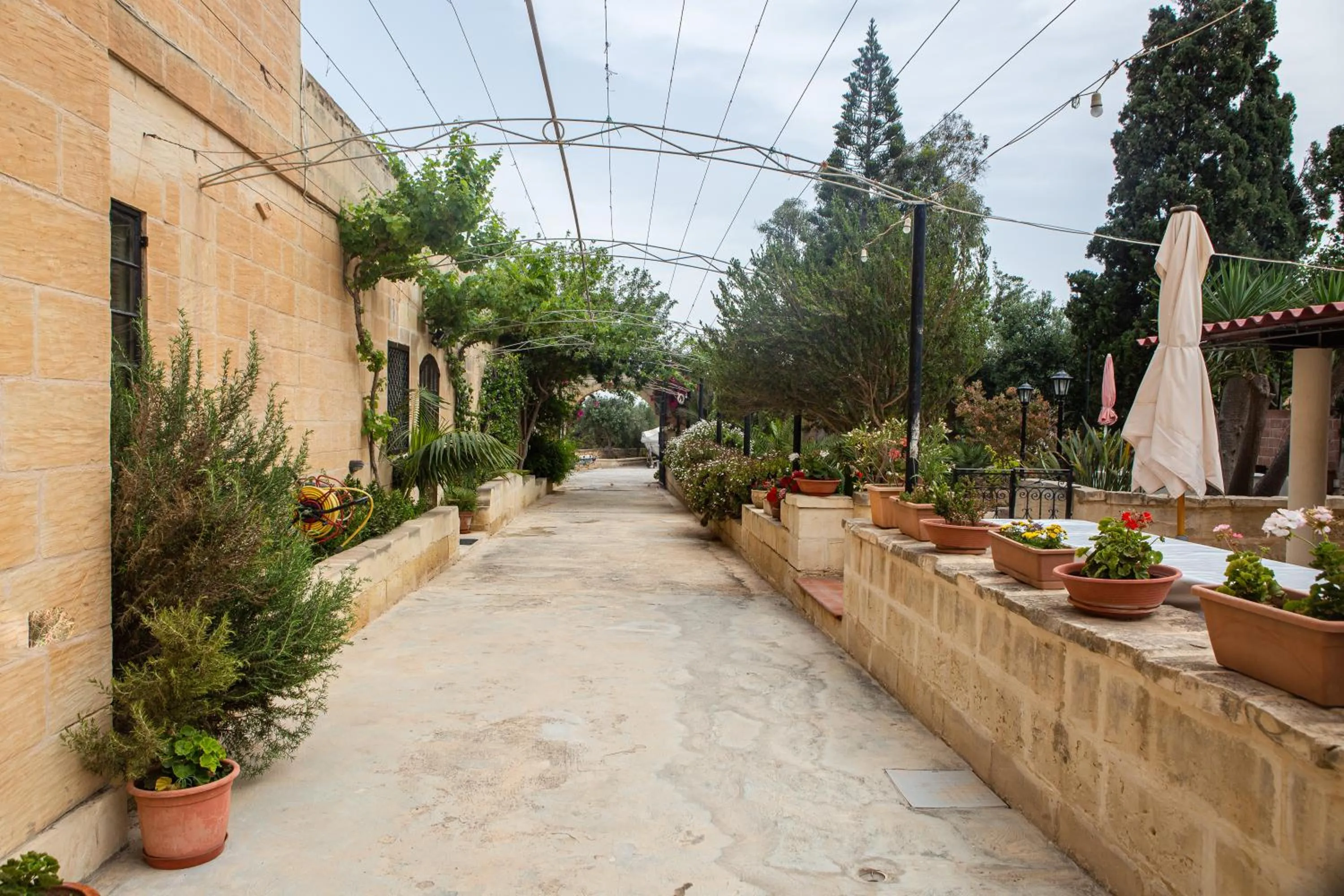 Property building in Ta' Bertu Host Family Bed & Breakfast