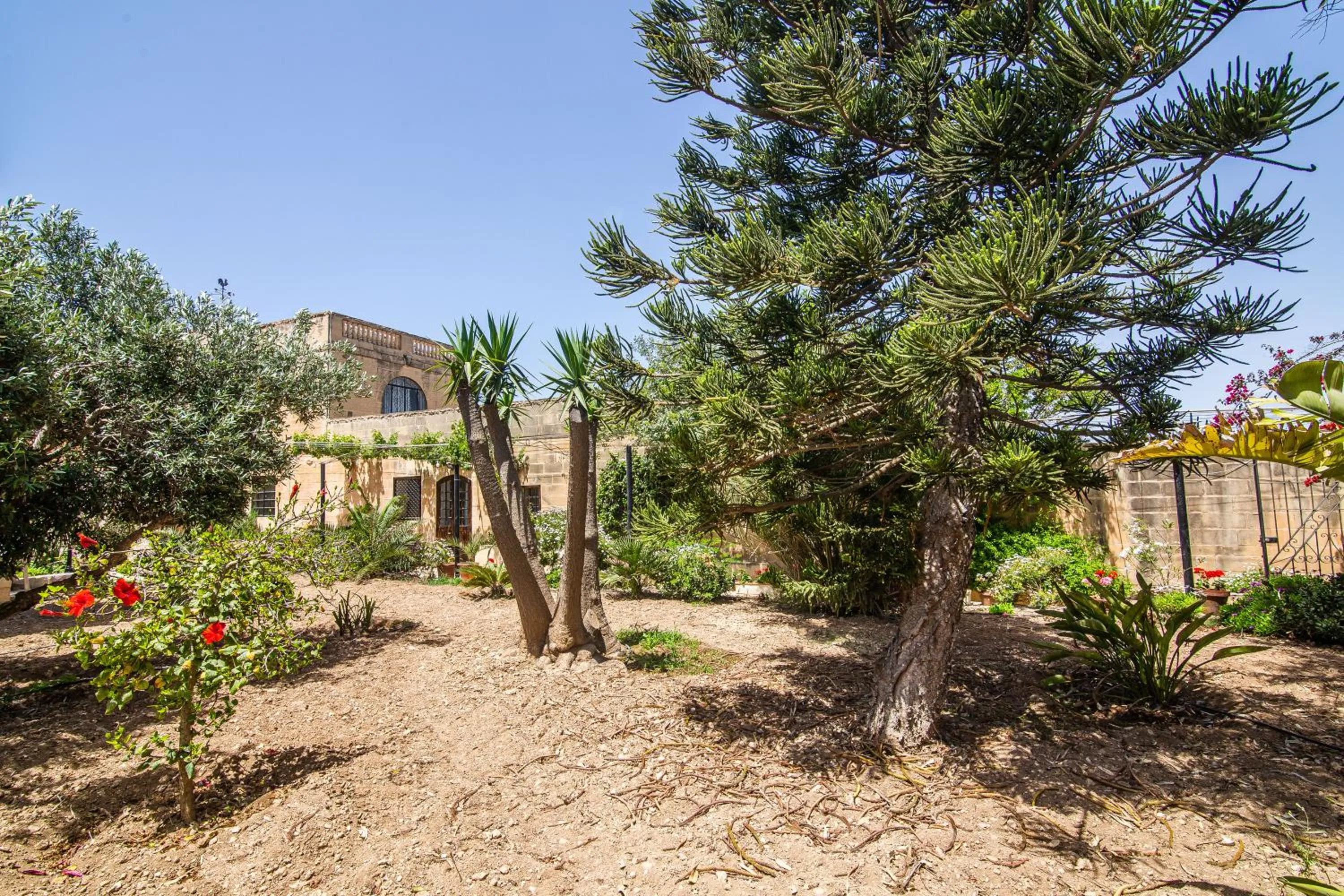 Garden in Ta' Bertu Host Family Bed & Breakfast