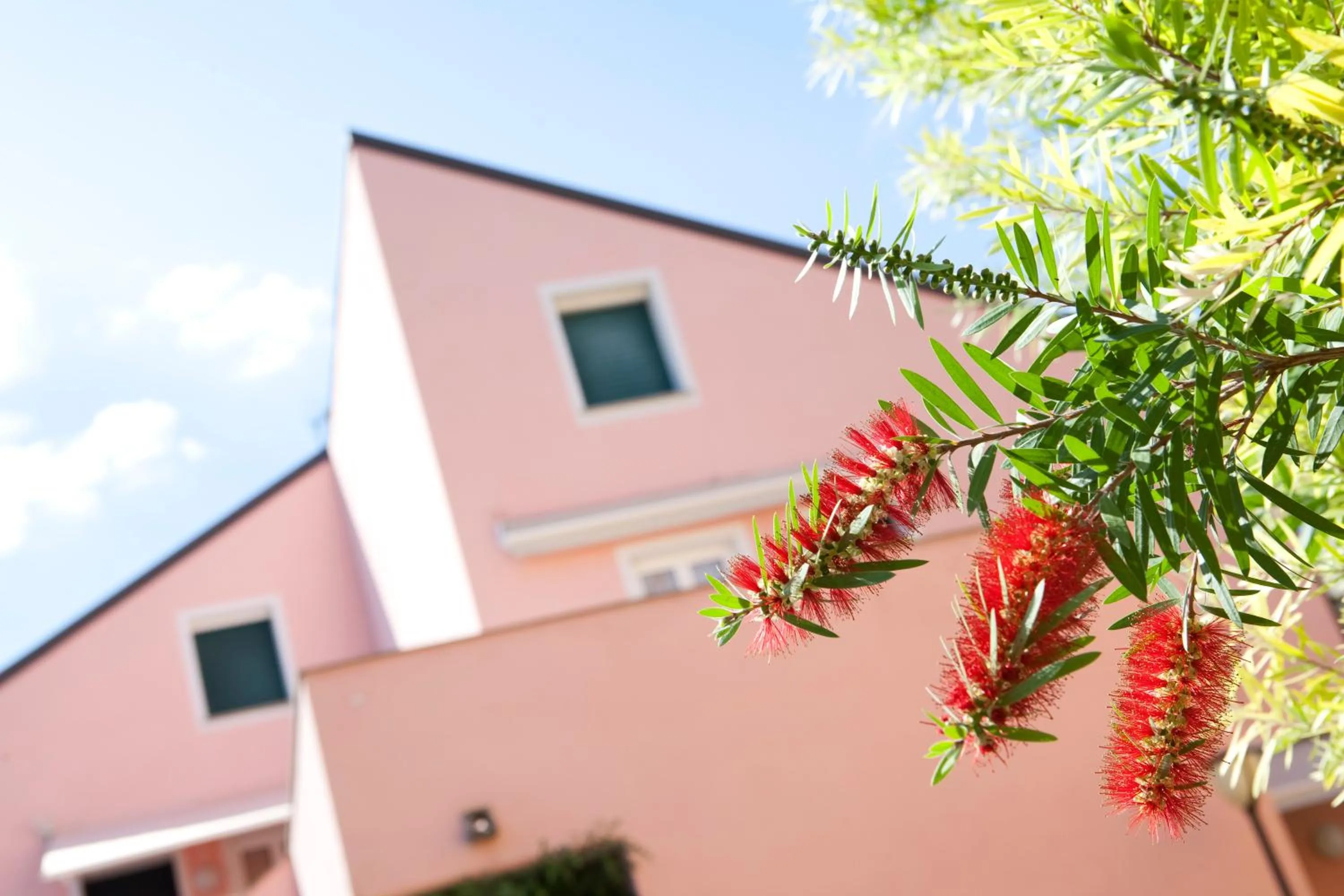 Day in Residence Borgomare