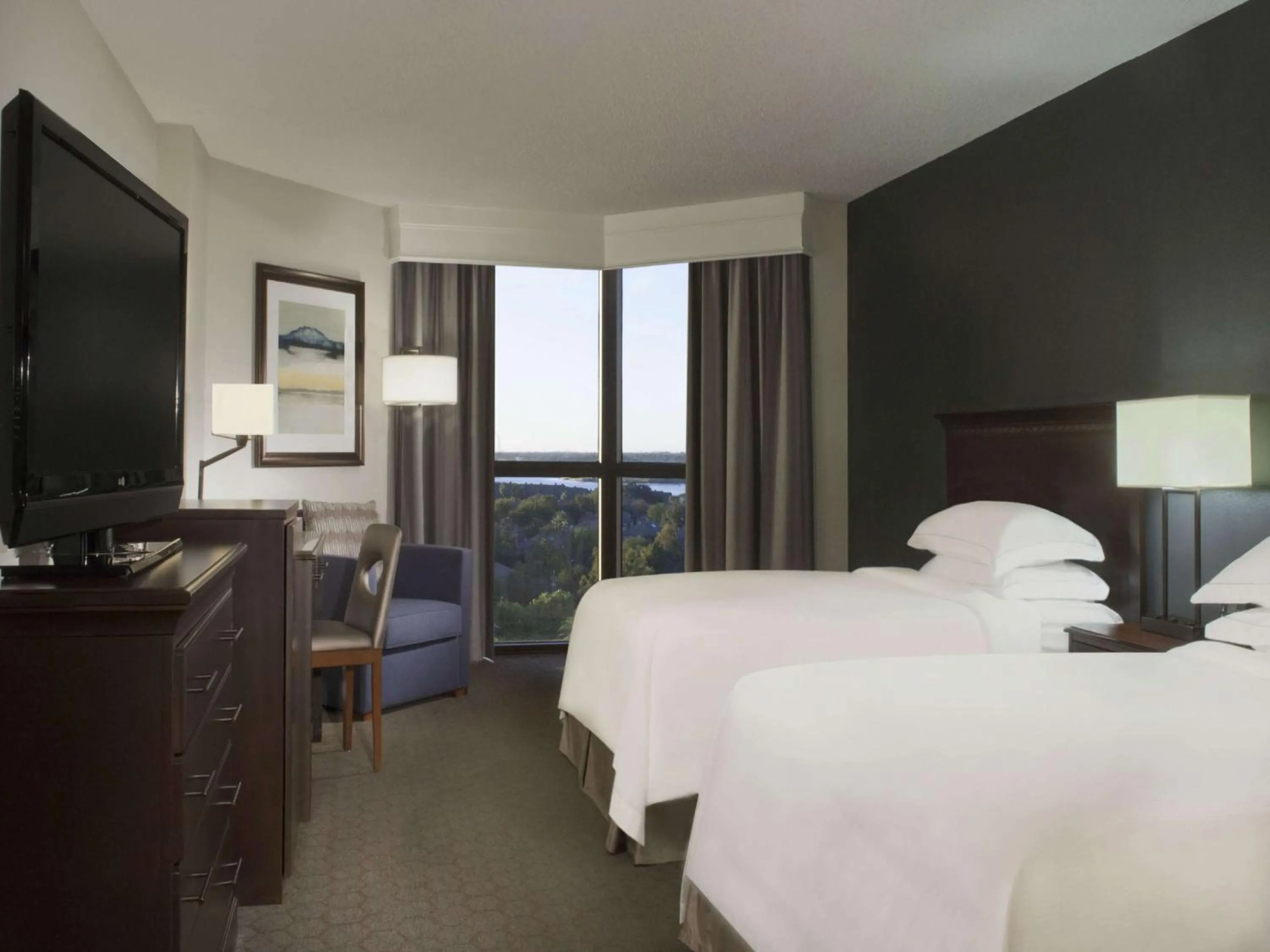 Bedroom, Bed in Hilton Houston NASA Clear Lake