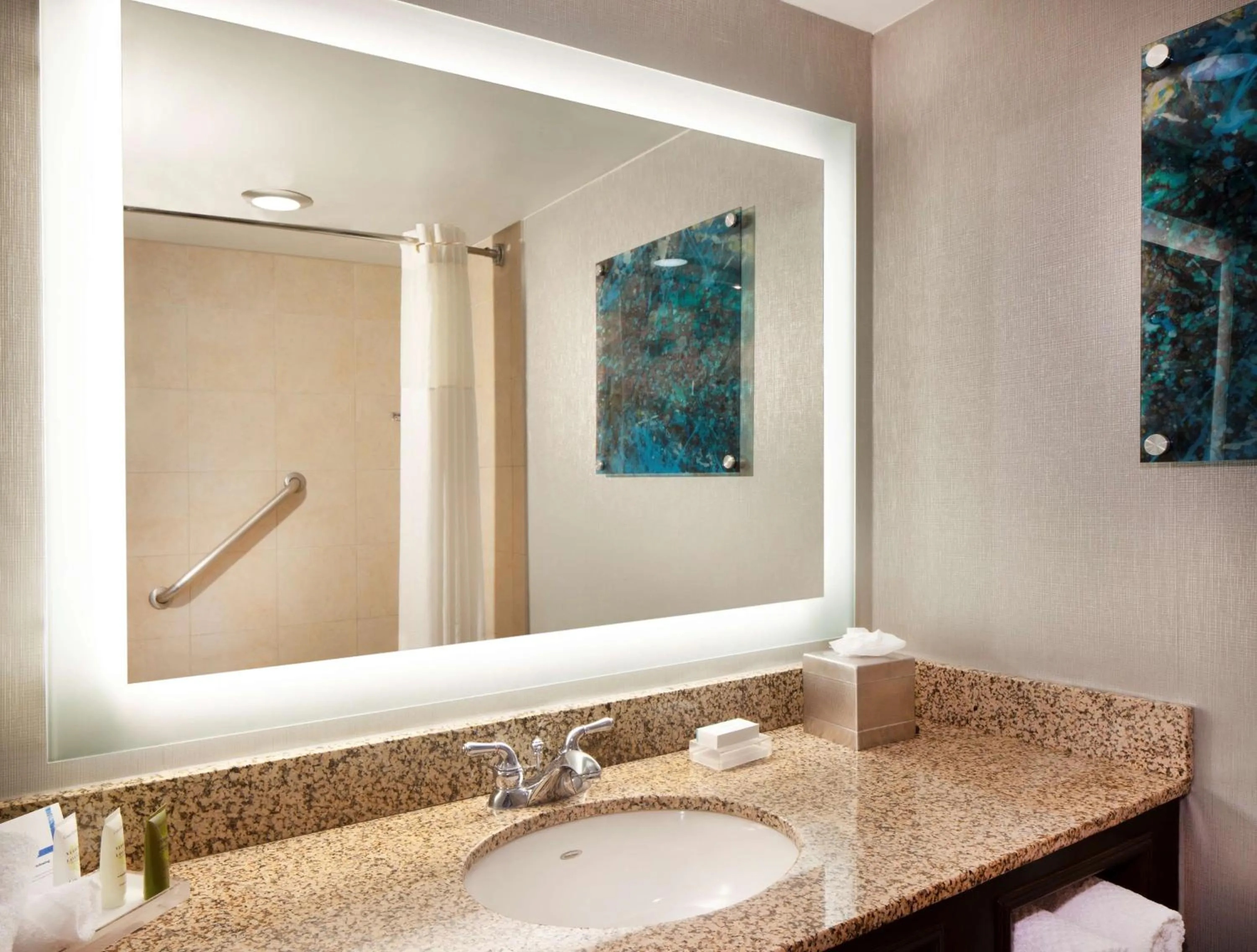 Bathroom in Hilton Houston NASA Clear Lake