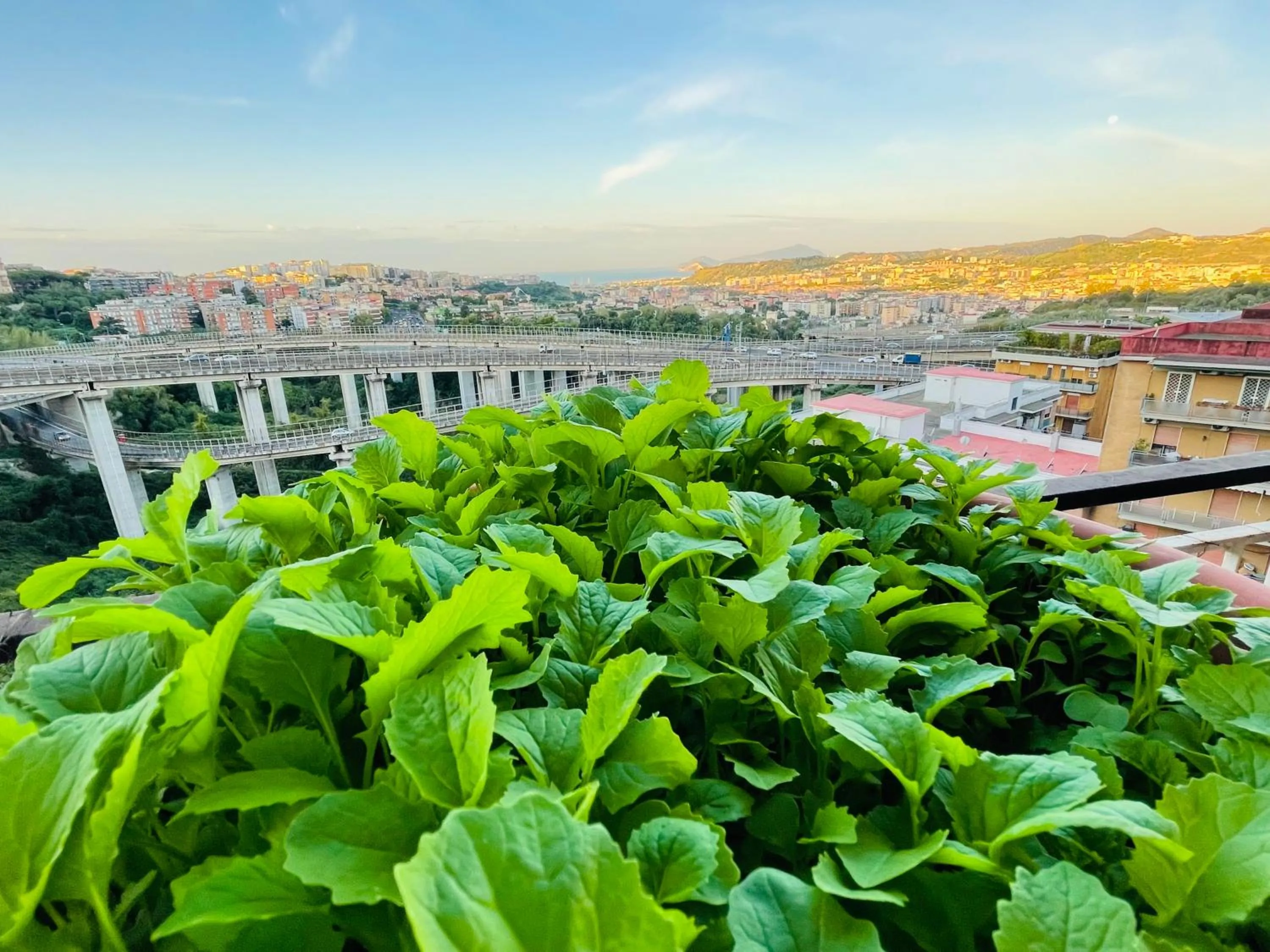 View (from property/room) in Il ramo d'oro