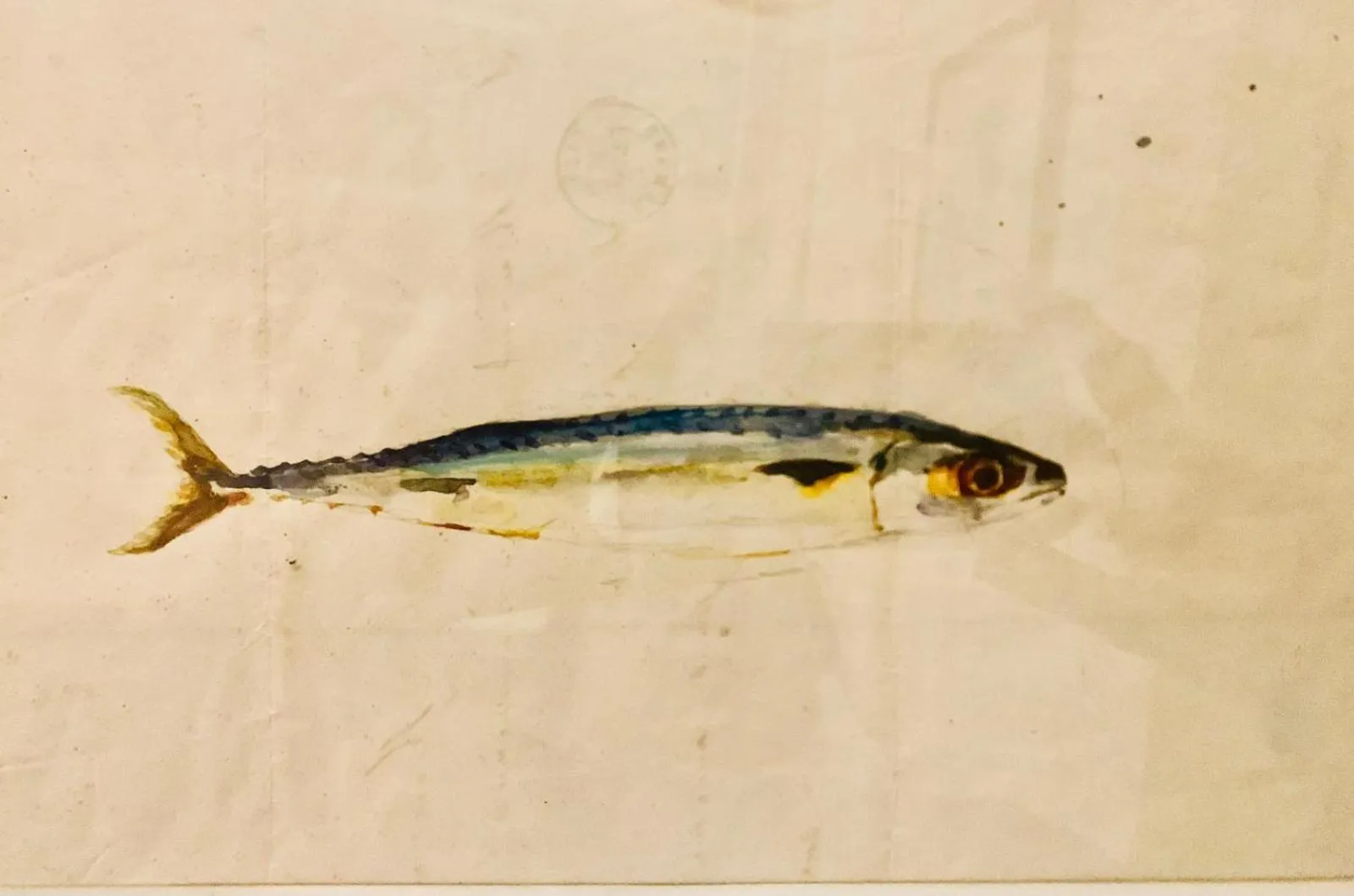 La Maison narbonnaise