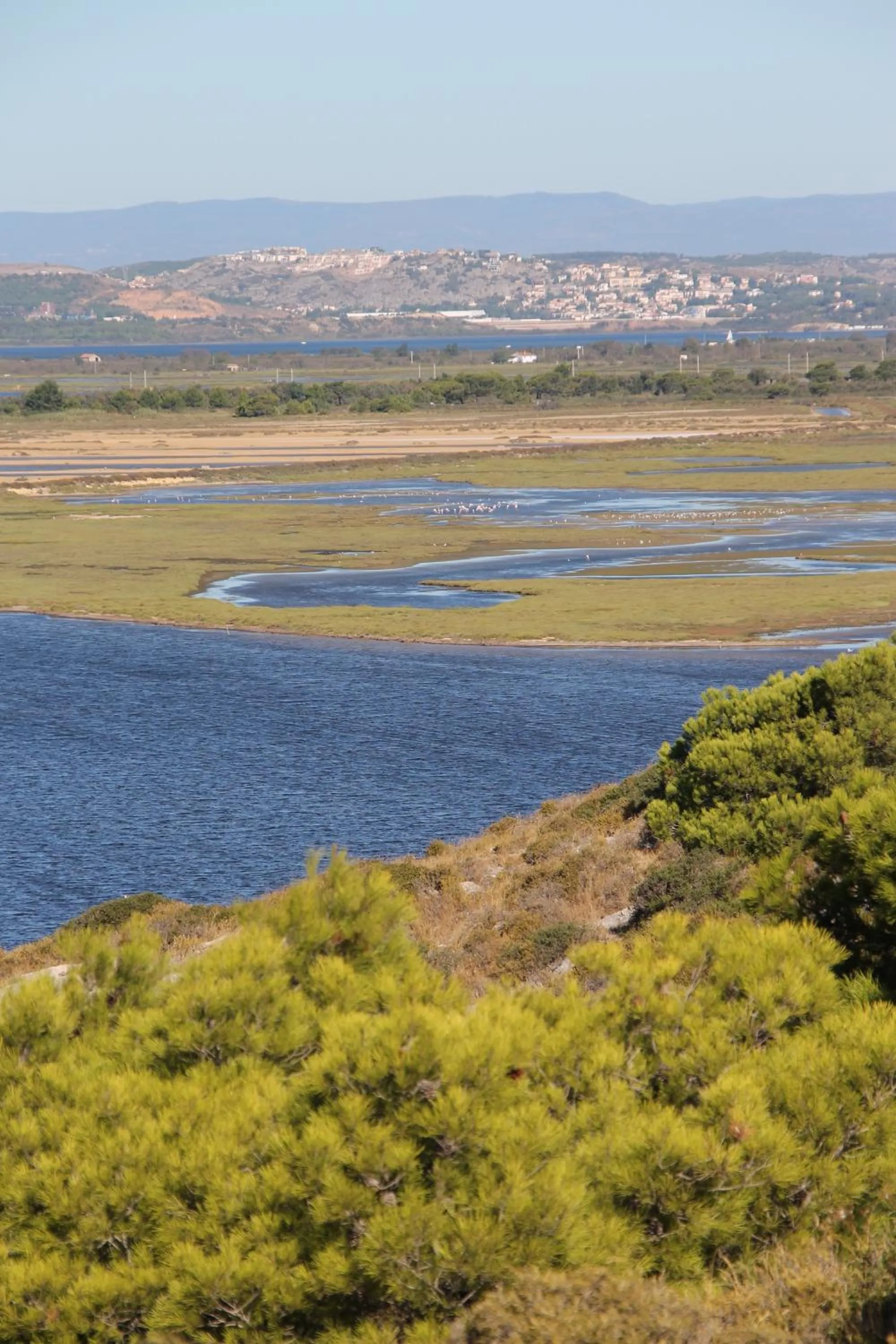 La Maison narbonnaise