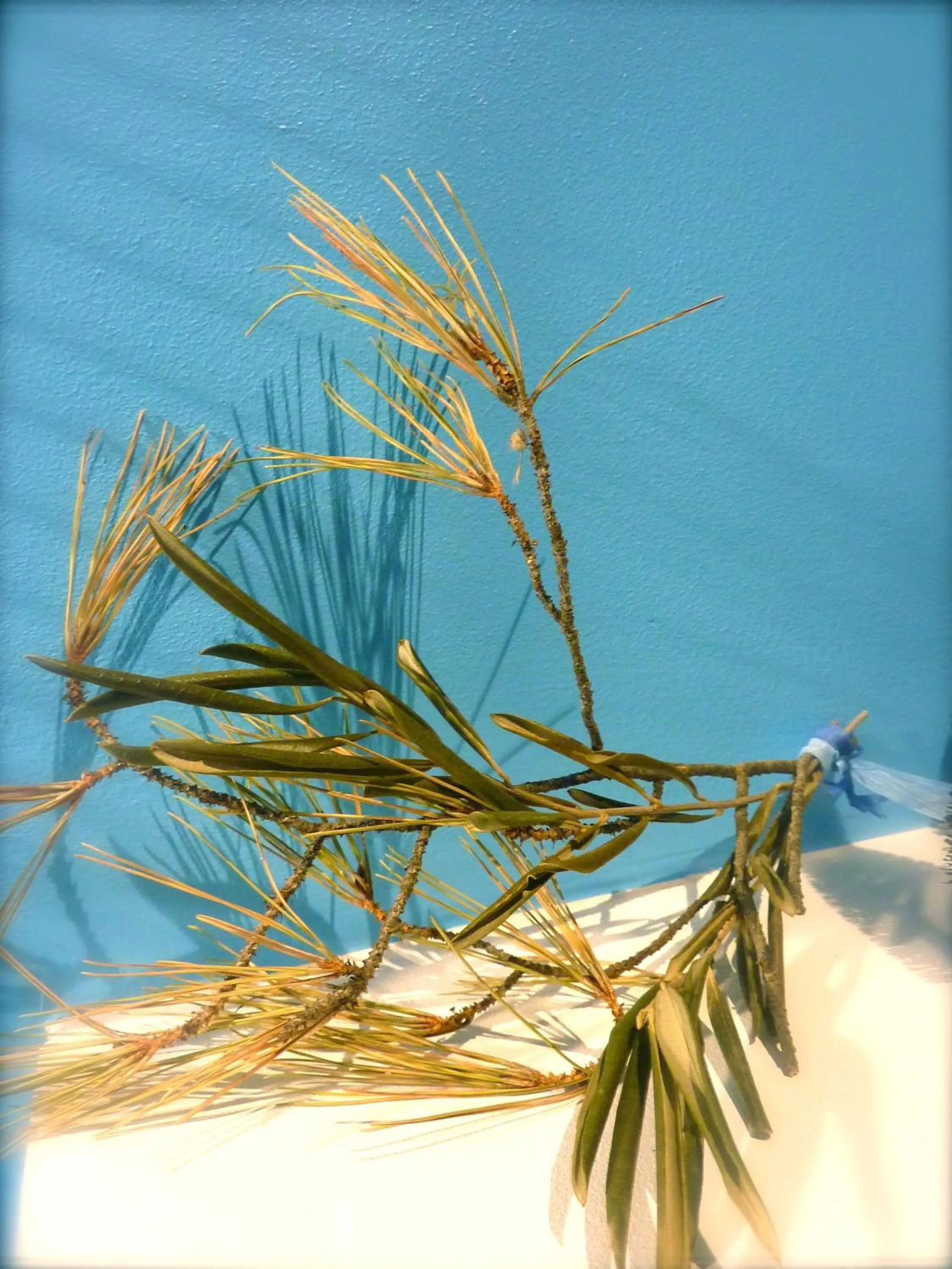 La Maison narbonnaise