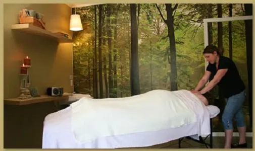 Spa and wellness centre/facilities in The Napa Inn