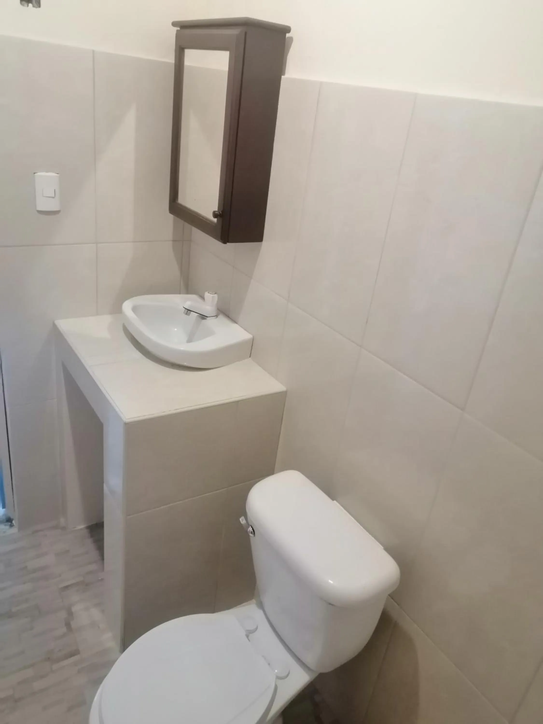 El Conde de Villa Rosa