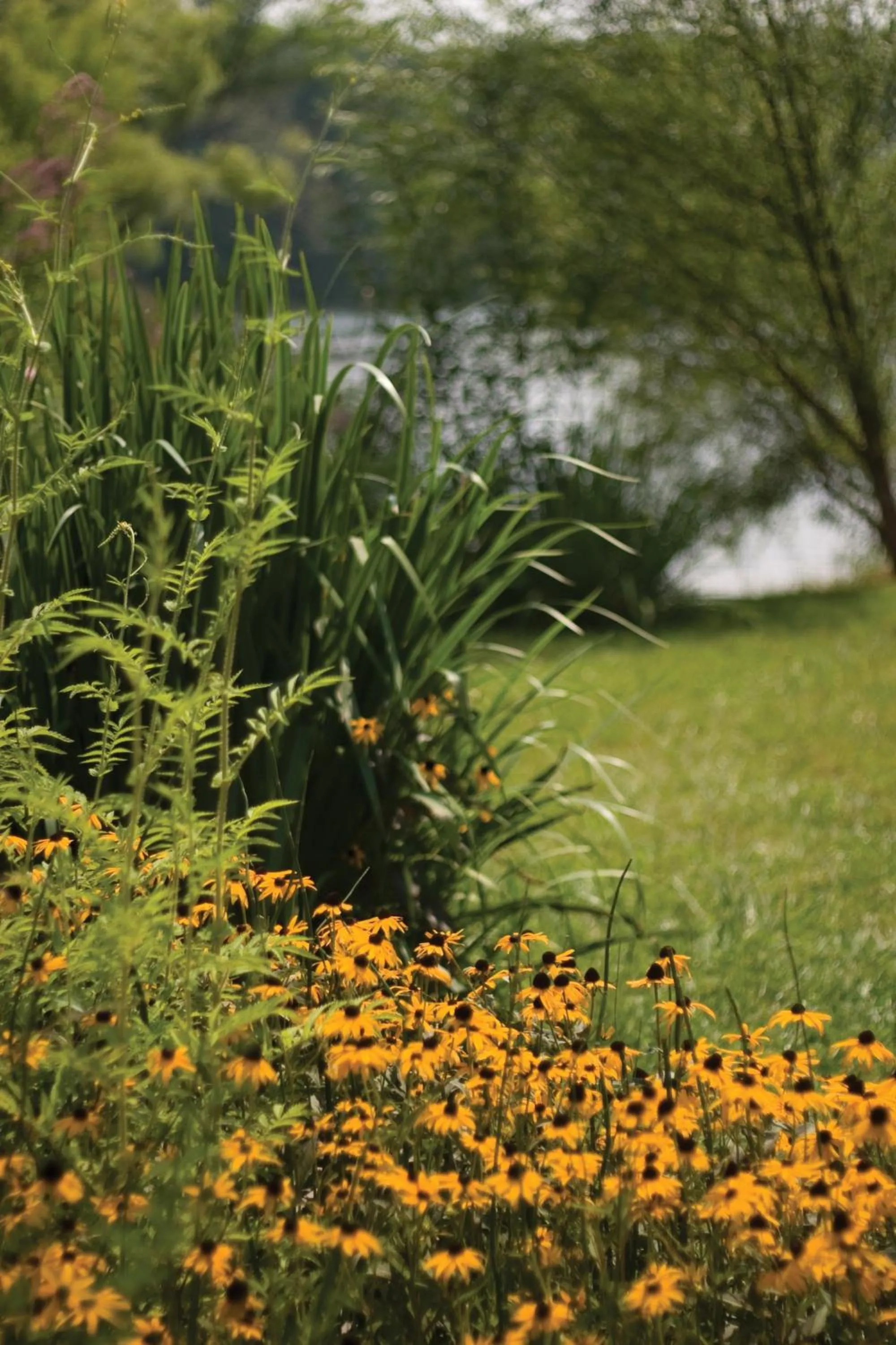 Lake view in Club Wyndham Resort at Fairfield Glade