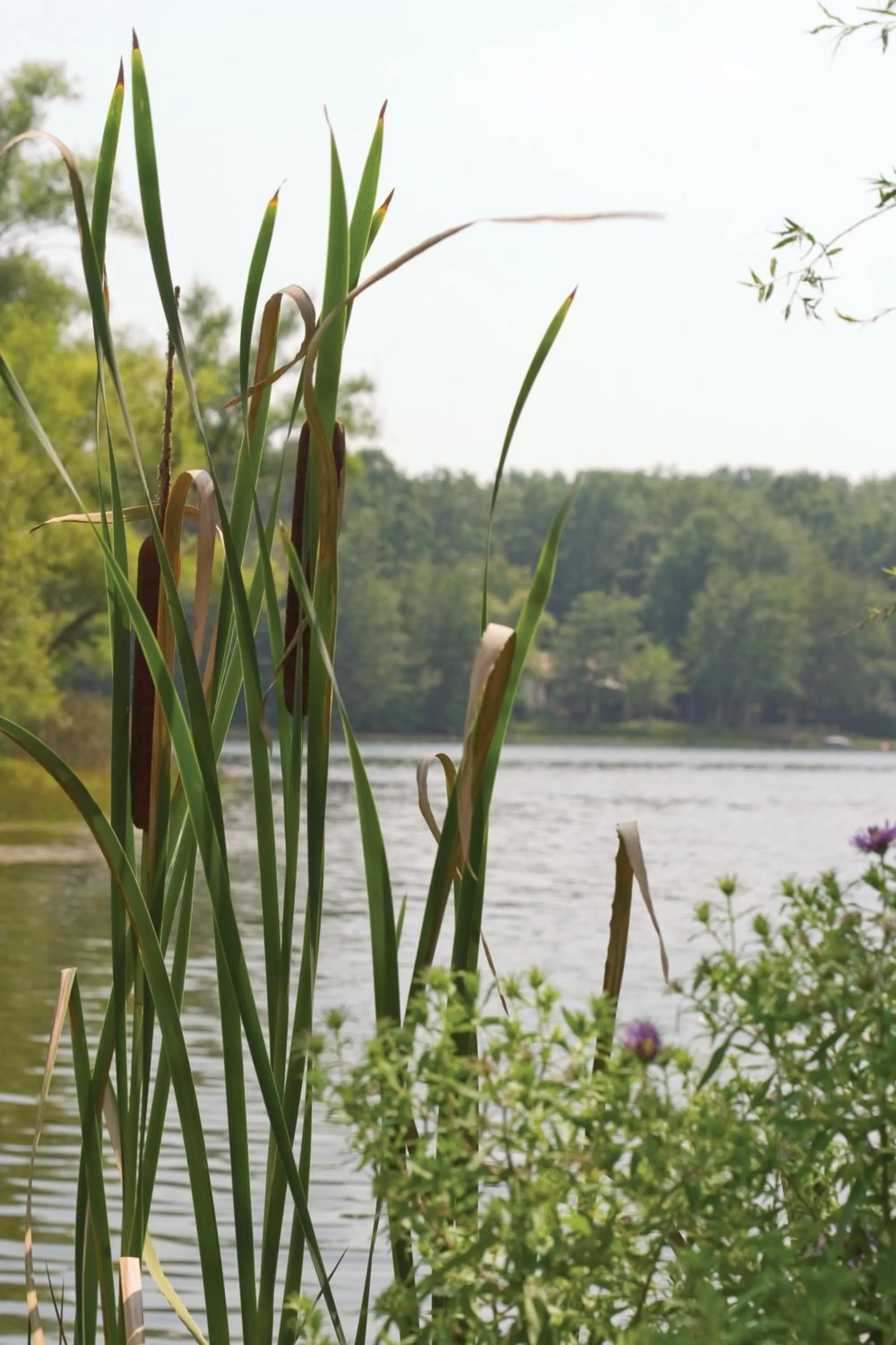 Decorative detail in Club Wyndham Resort at Fairfield Glade
