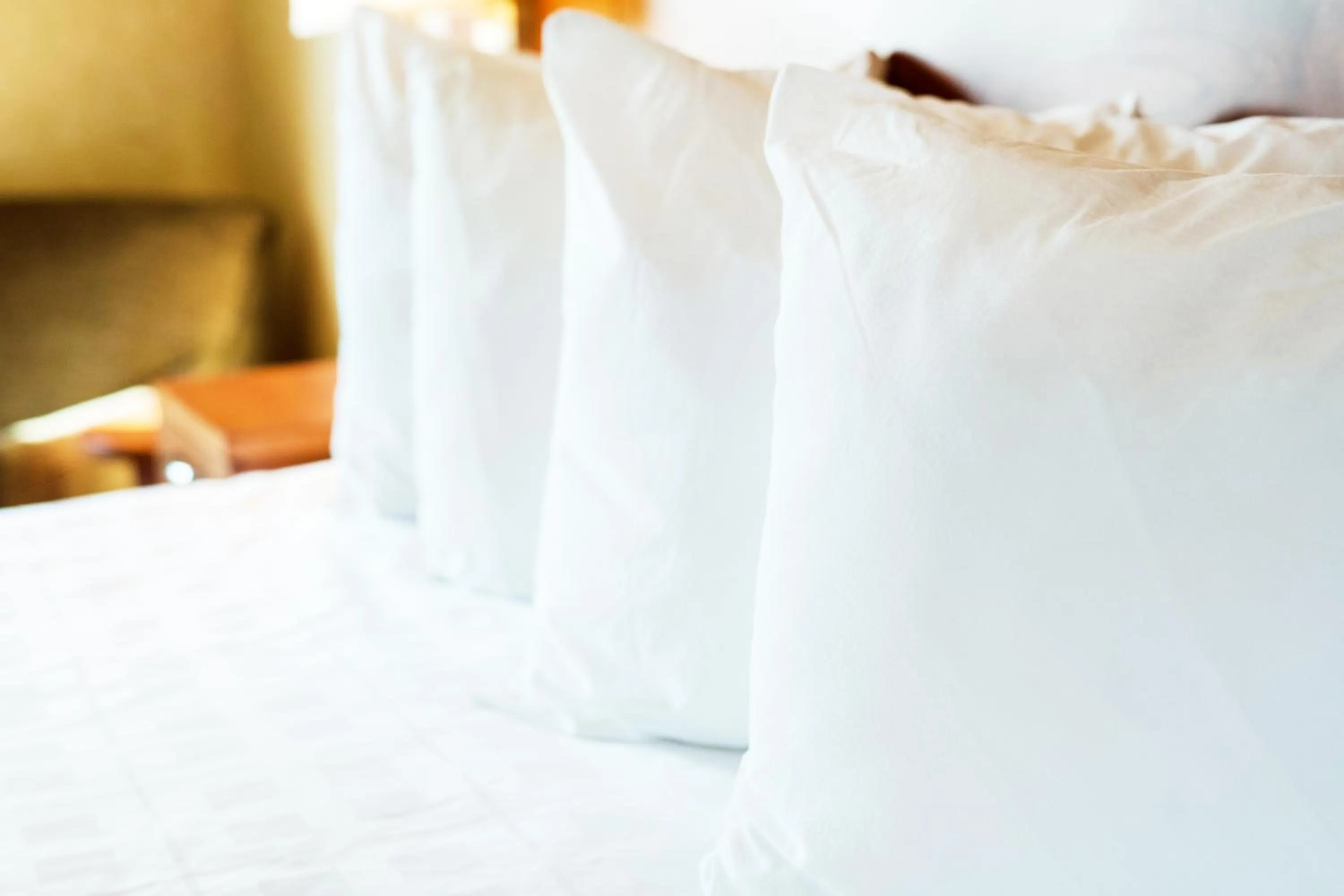 Bed in Rosslyn Inn & Suites