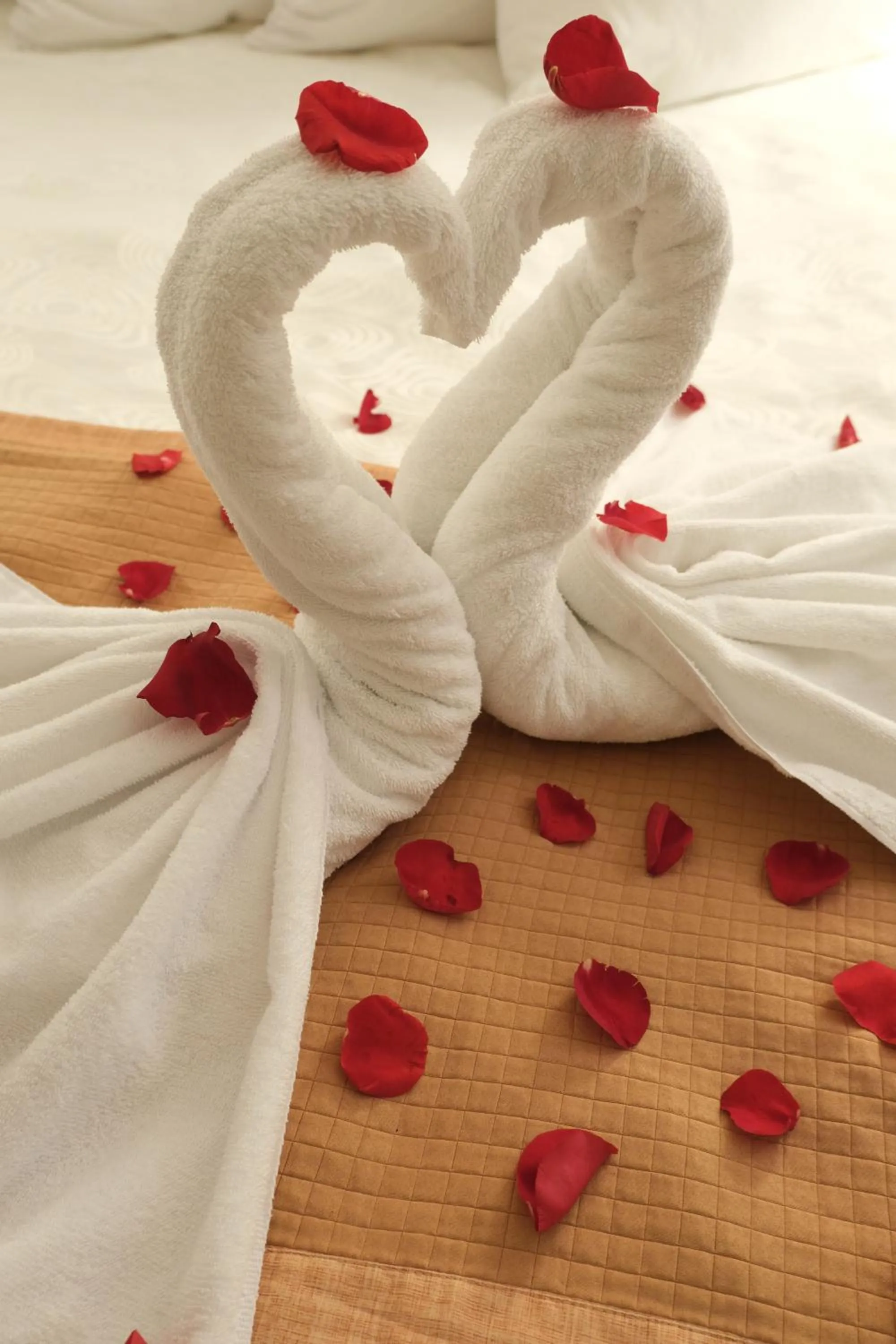 Decorative detail, Bed in Rosslyn Inn & Suites