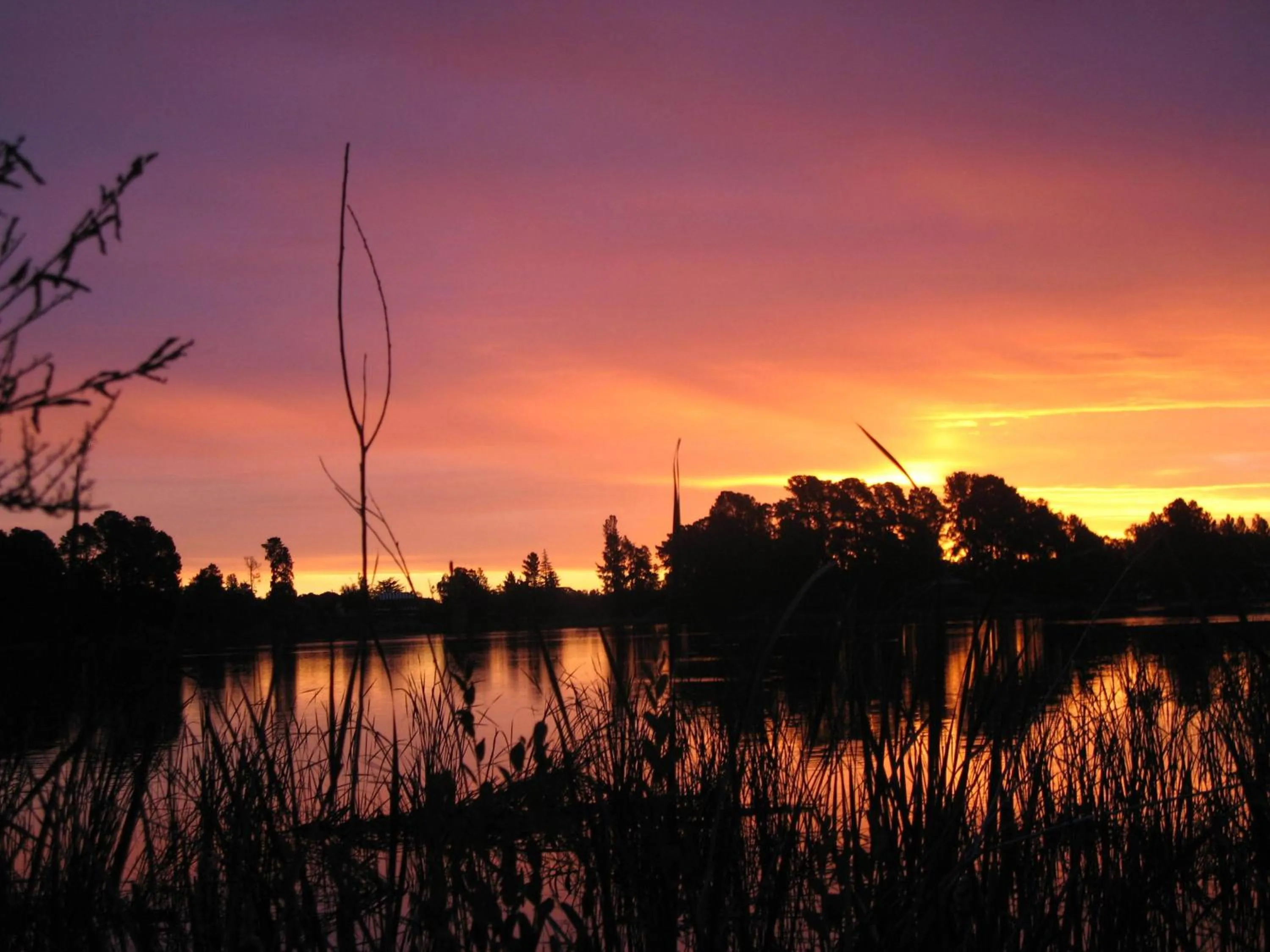 Area and facilities in Beechworth Lake Sambell Caravan Park