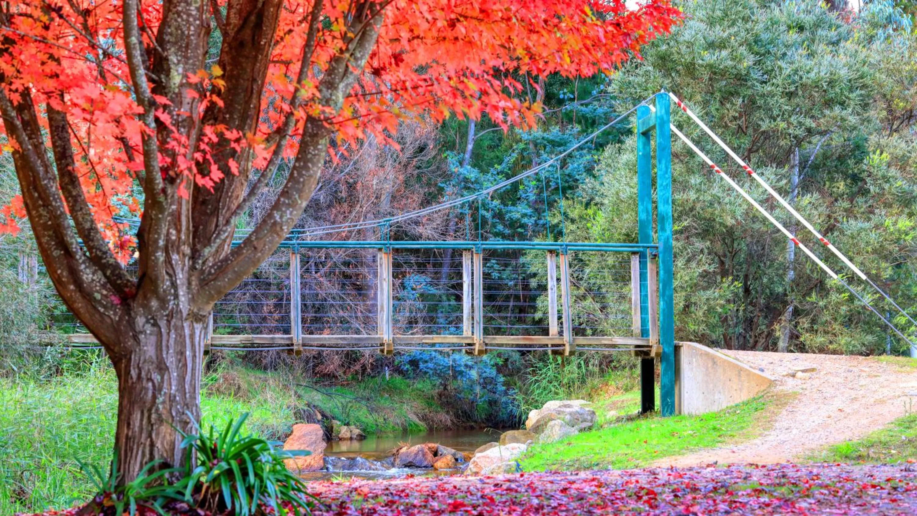Natural landscape in Beechworth Lake Sambell Caravan Park