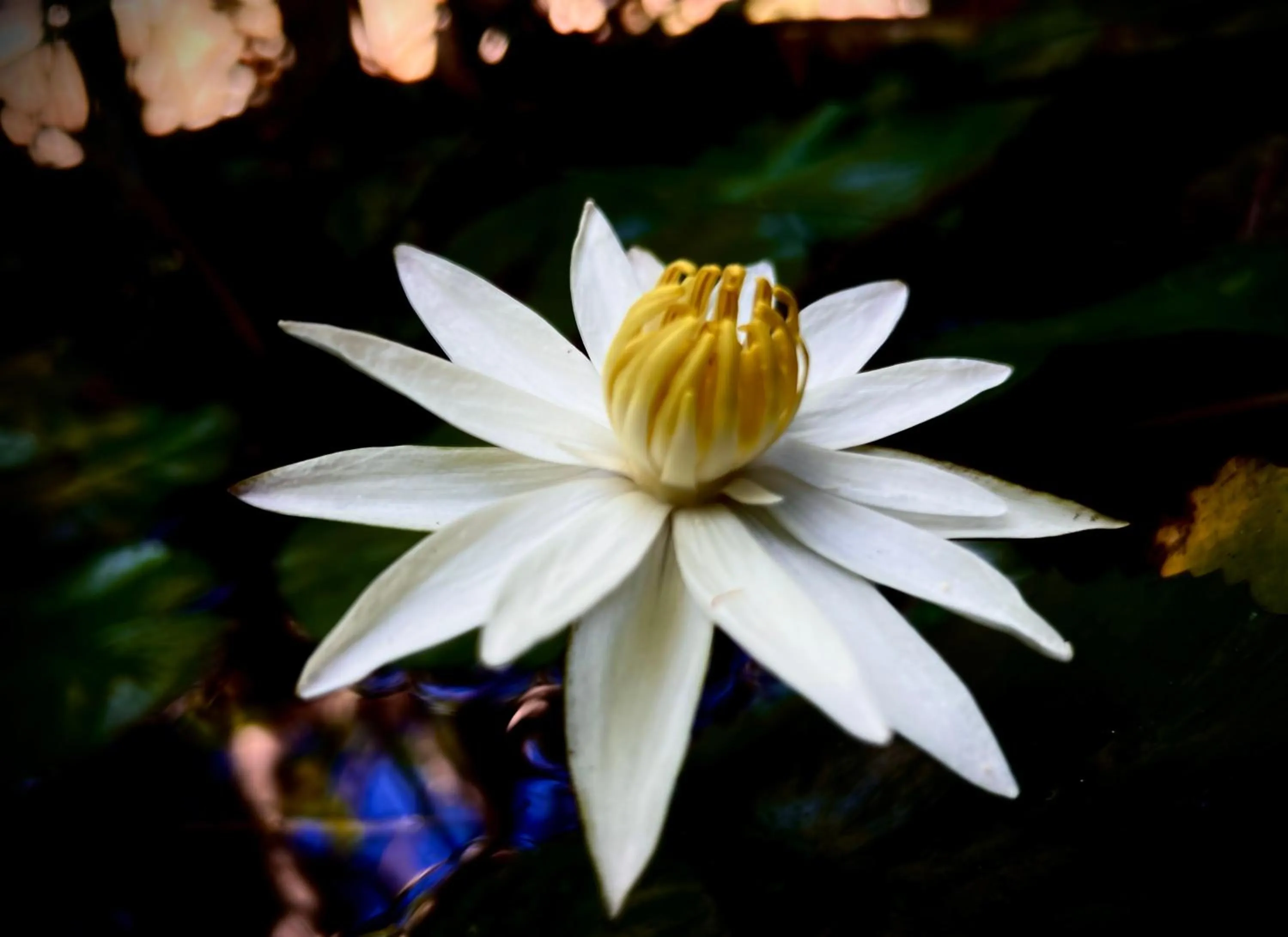 Property building in Villa Boreh Beach Resort and Spa