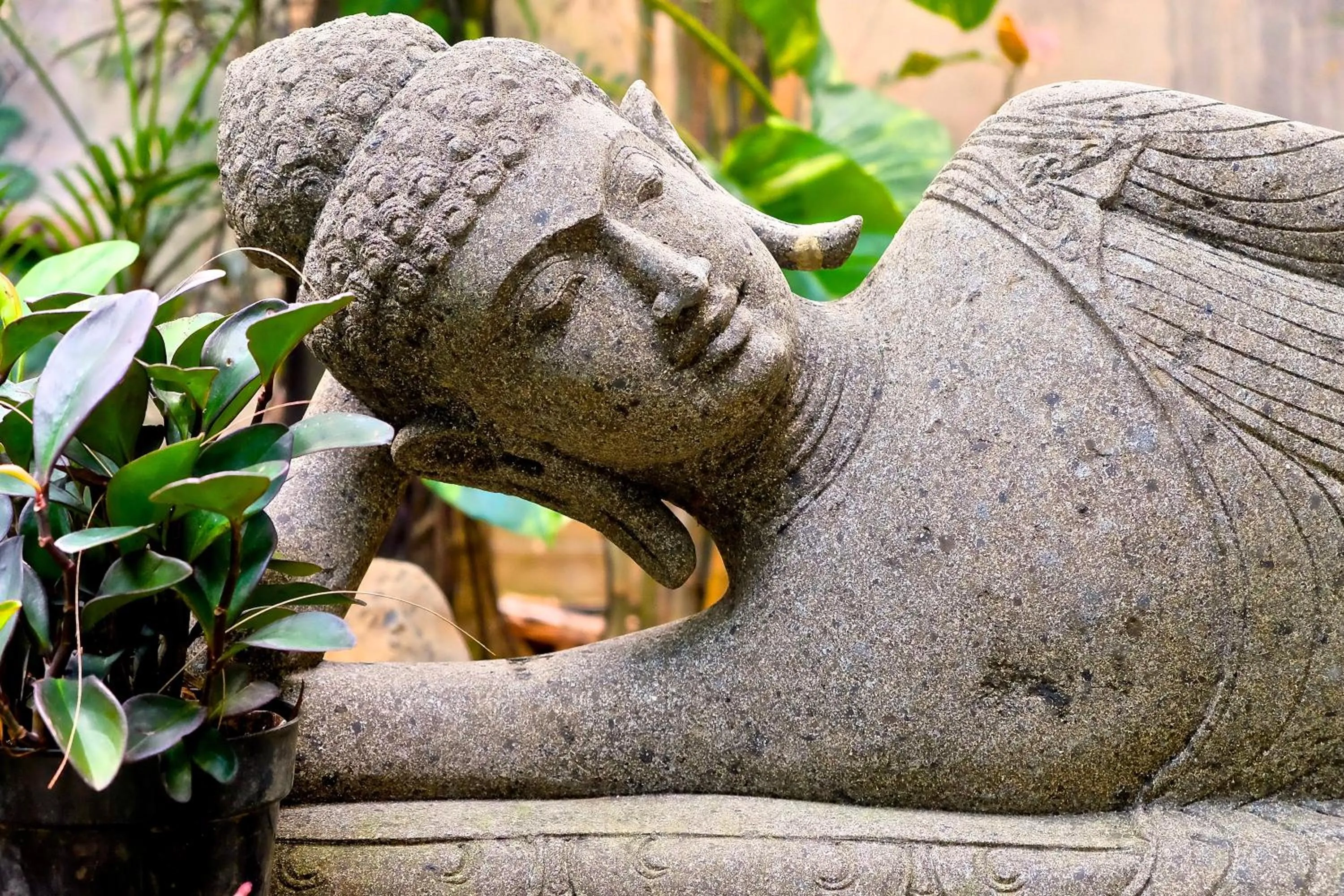 Other in Villa Boreh Beach Resort and Spa