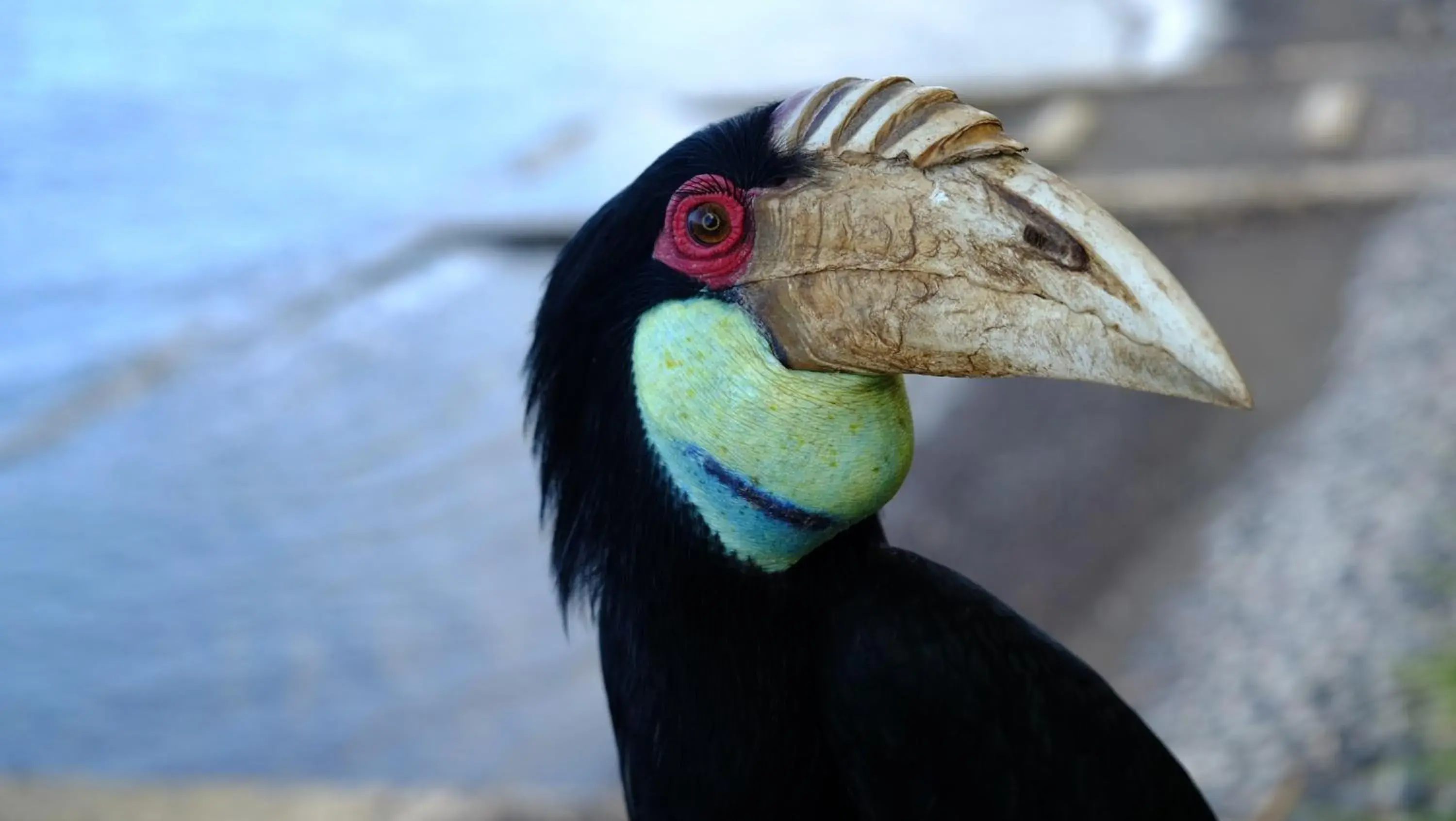 Property building in Villa Boreh Beach Resort and Spa Property building in Villa Boreh Beach Resort and Spa