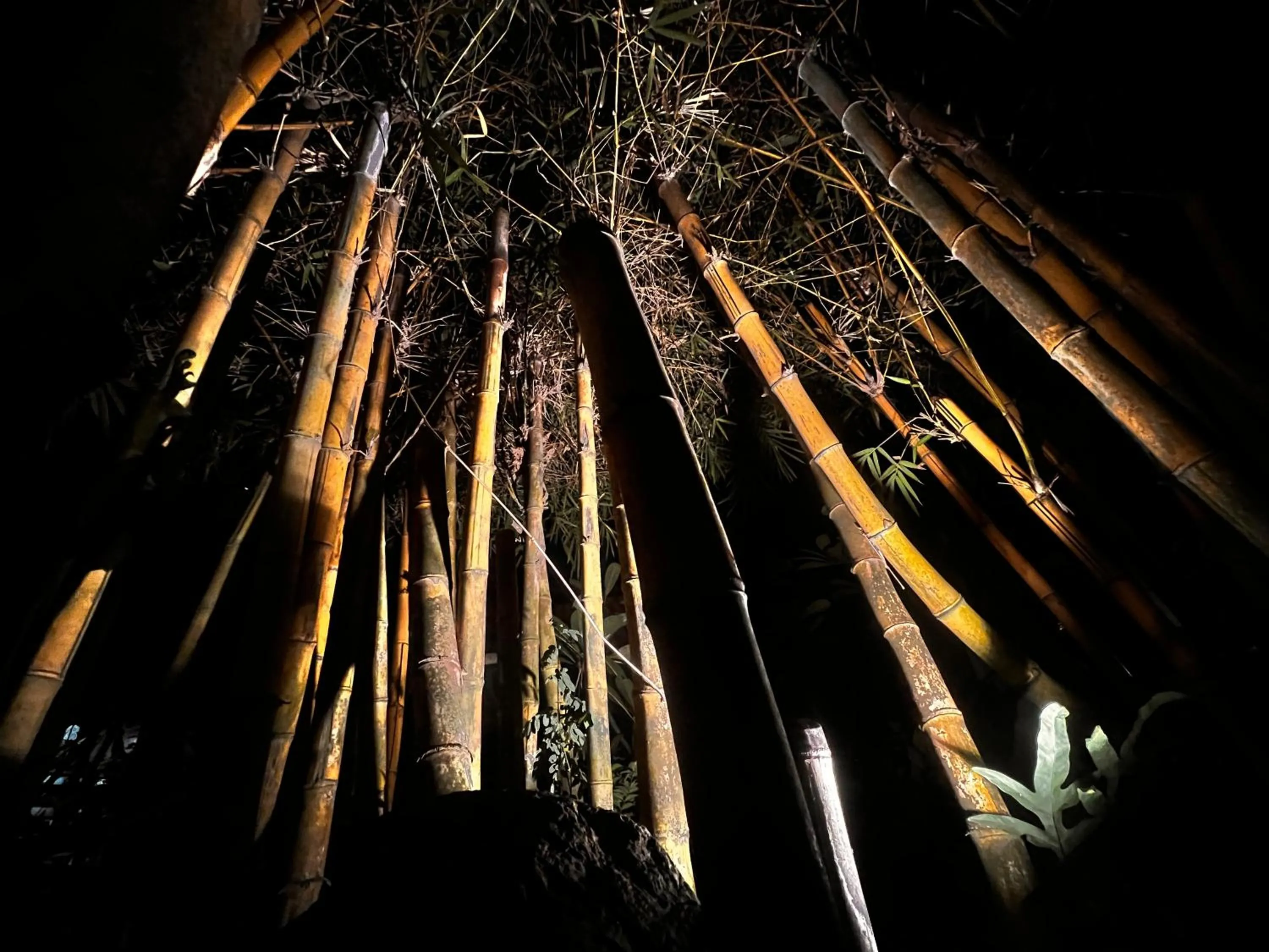 Property building in Villa Boreh Beach Resort and Spa