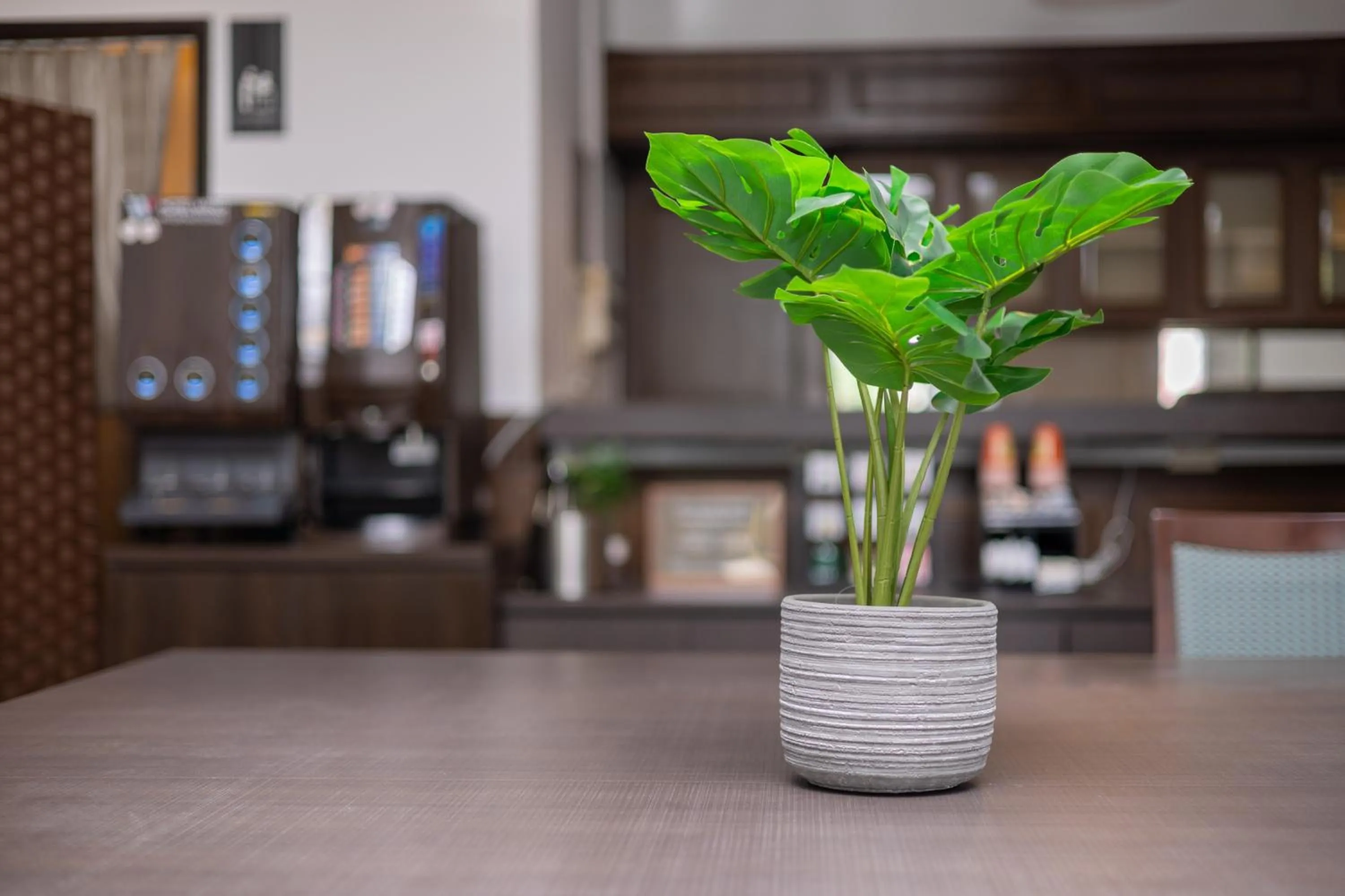 Lounge or bar in Hotel Wing International Shonan Fujisawa