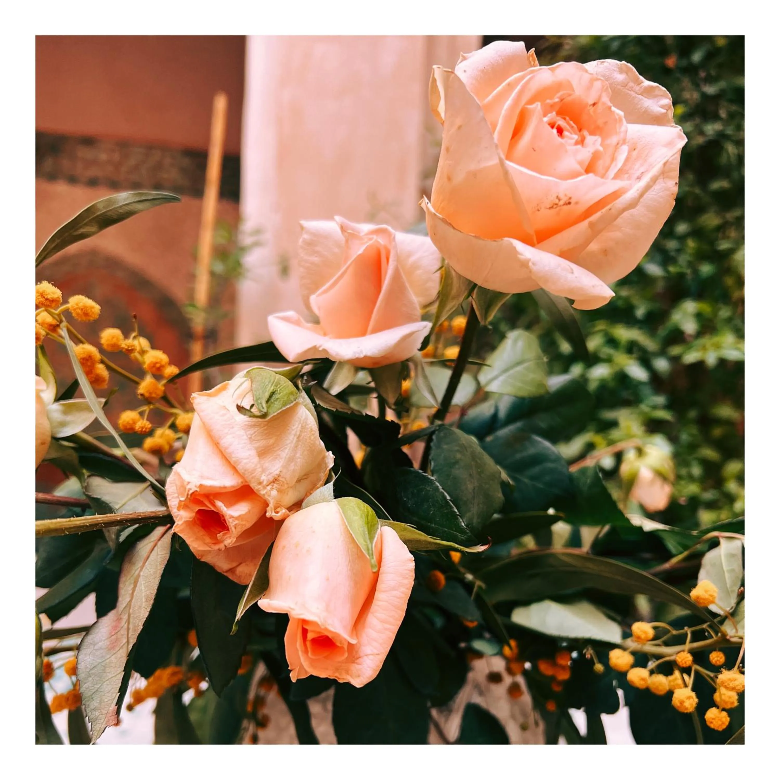 Spring in Palais Nejma oriental