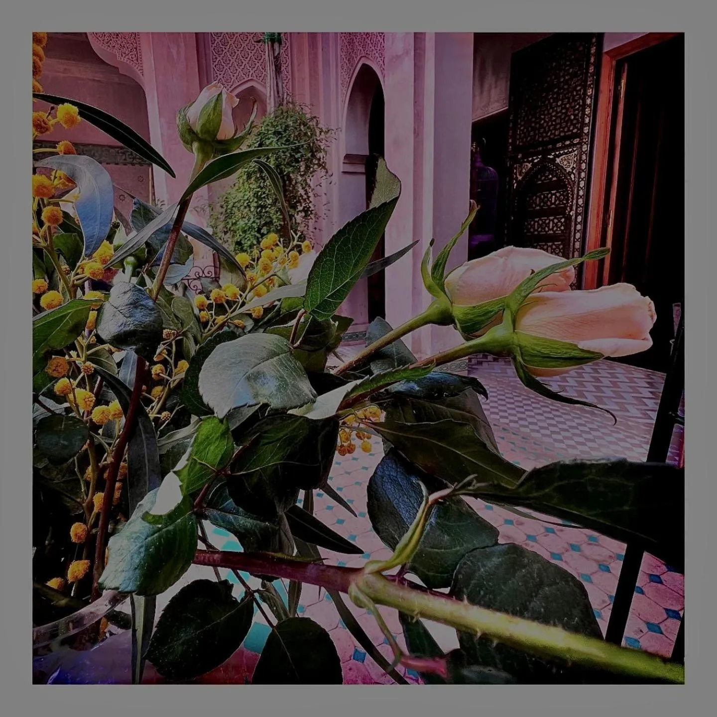 Garden in Palais Nejma oriental