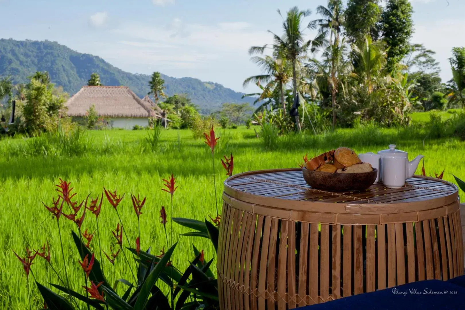 Restaurant/places to eat in Pelangi Villas Sidemen by AGATA Restaurant/places to eat in Pelangi Villas Sidemen by AGATA