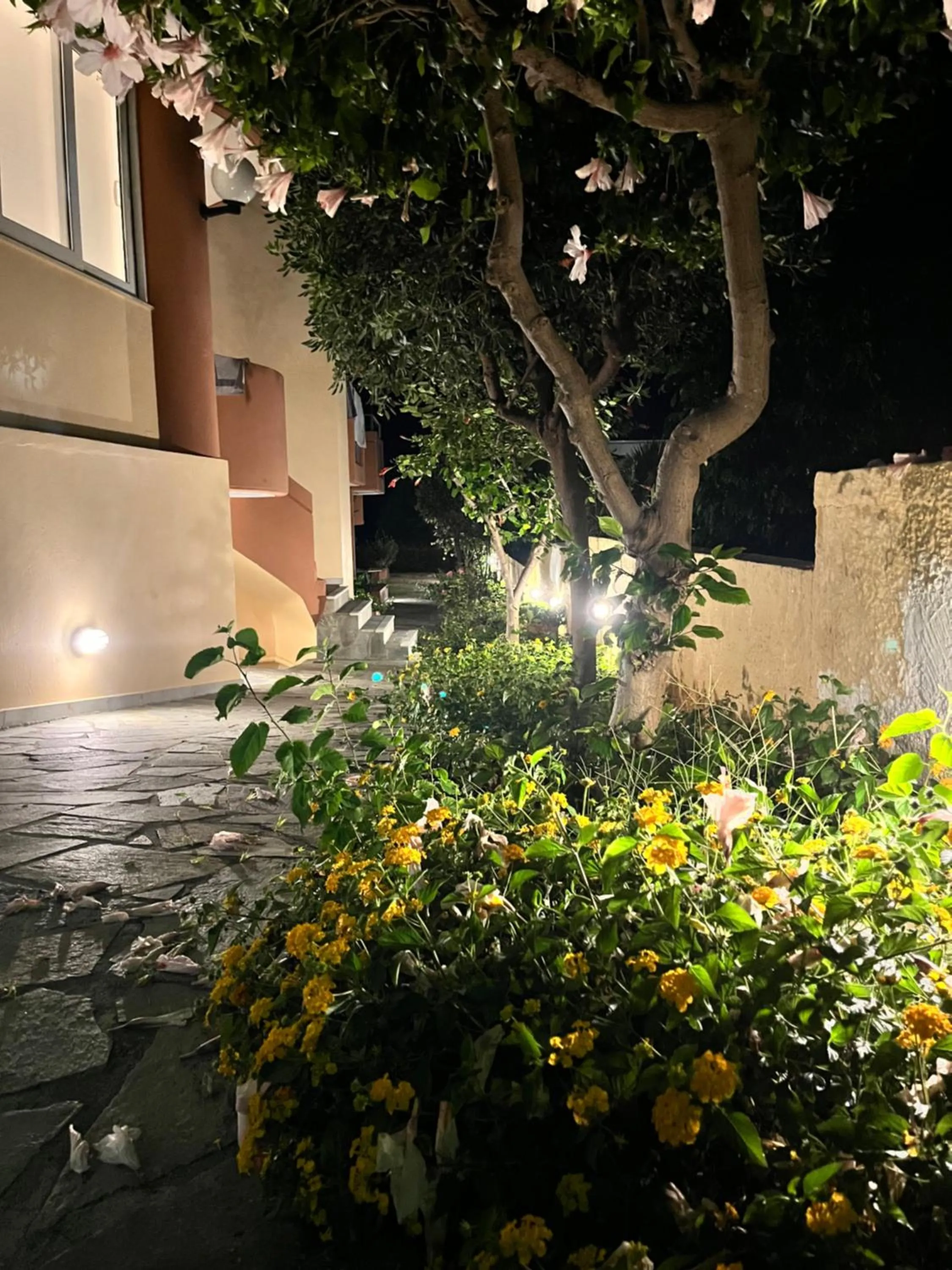 Garden in Iolkos Hotel Apartments