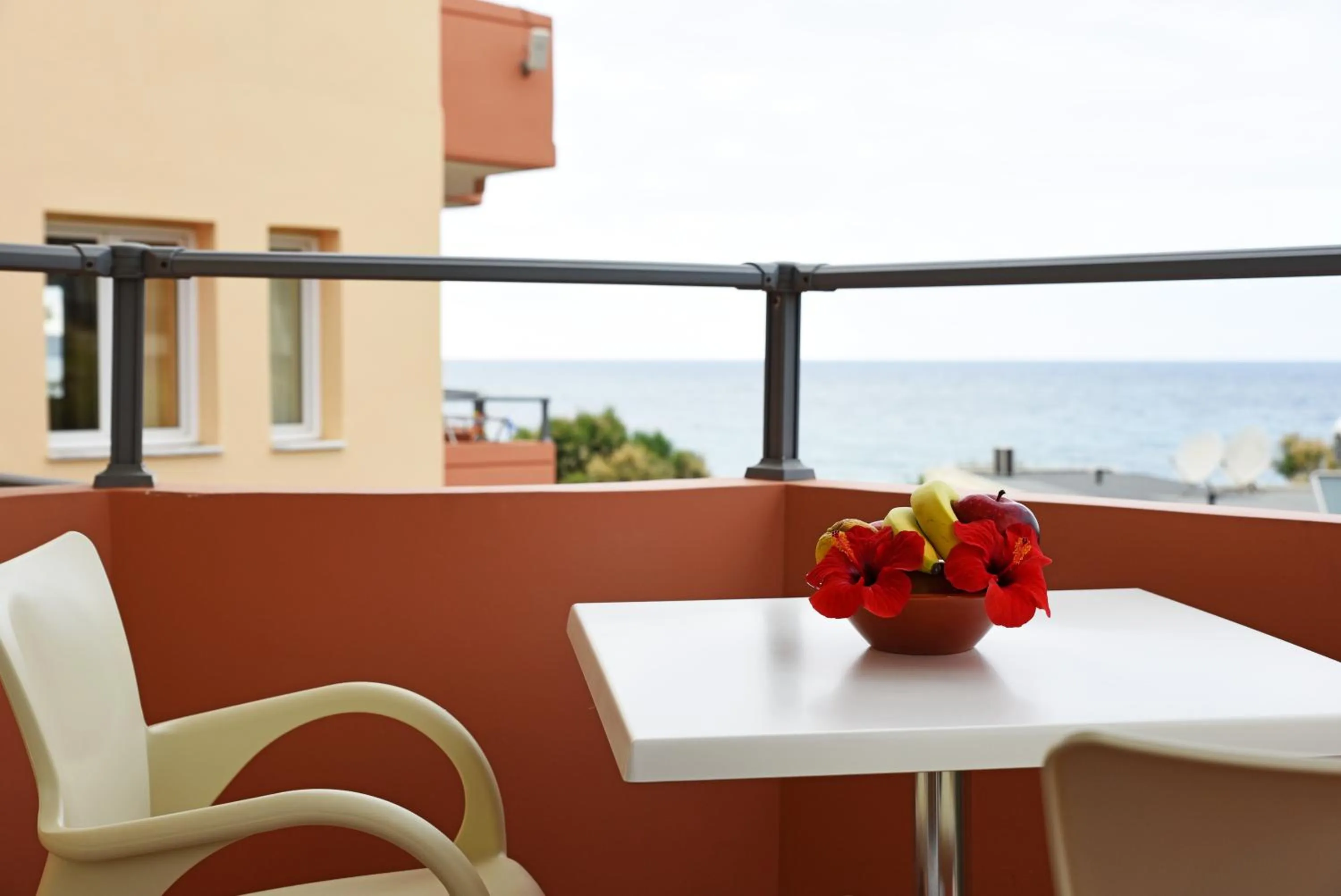 Balcony/Terrace in Iolkos Hotel Apartments
