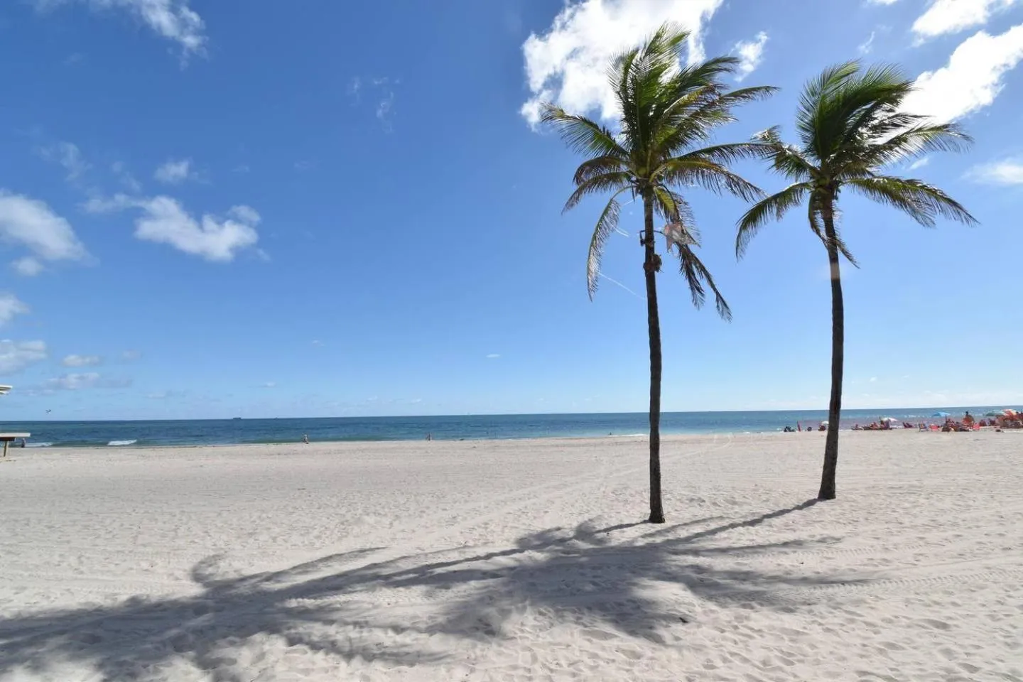 Other in Lovely 1BR w Parking Space Walk to the Beach 7