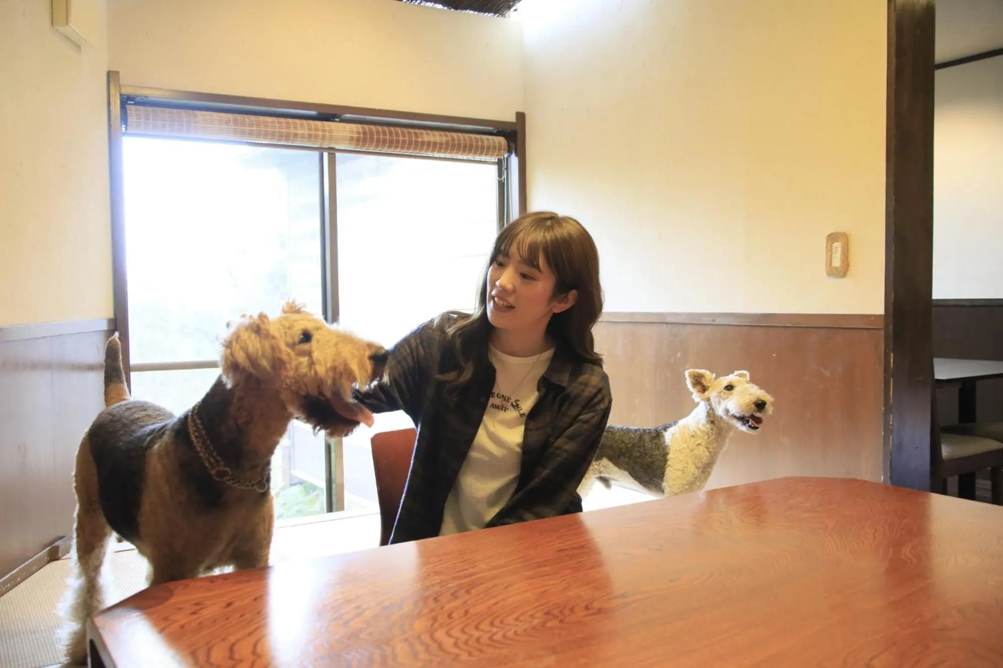 People in Welcome Inn SunnySteps