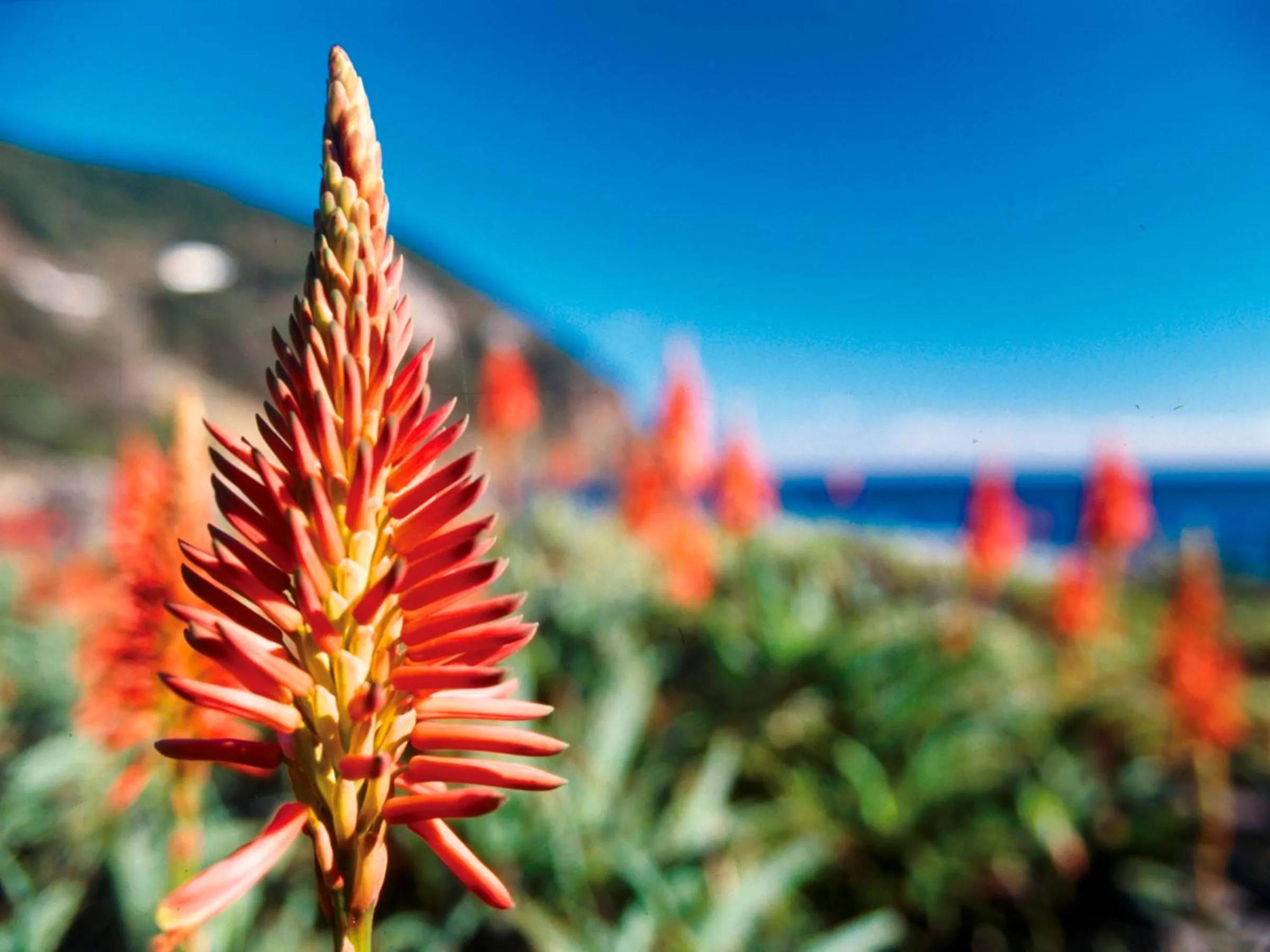 Activities in Welcome Inn SunnySteps