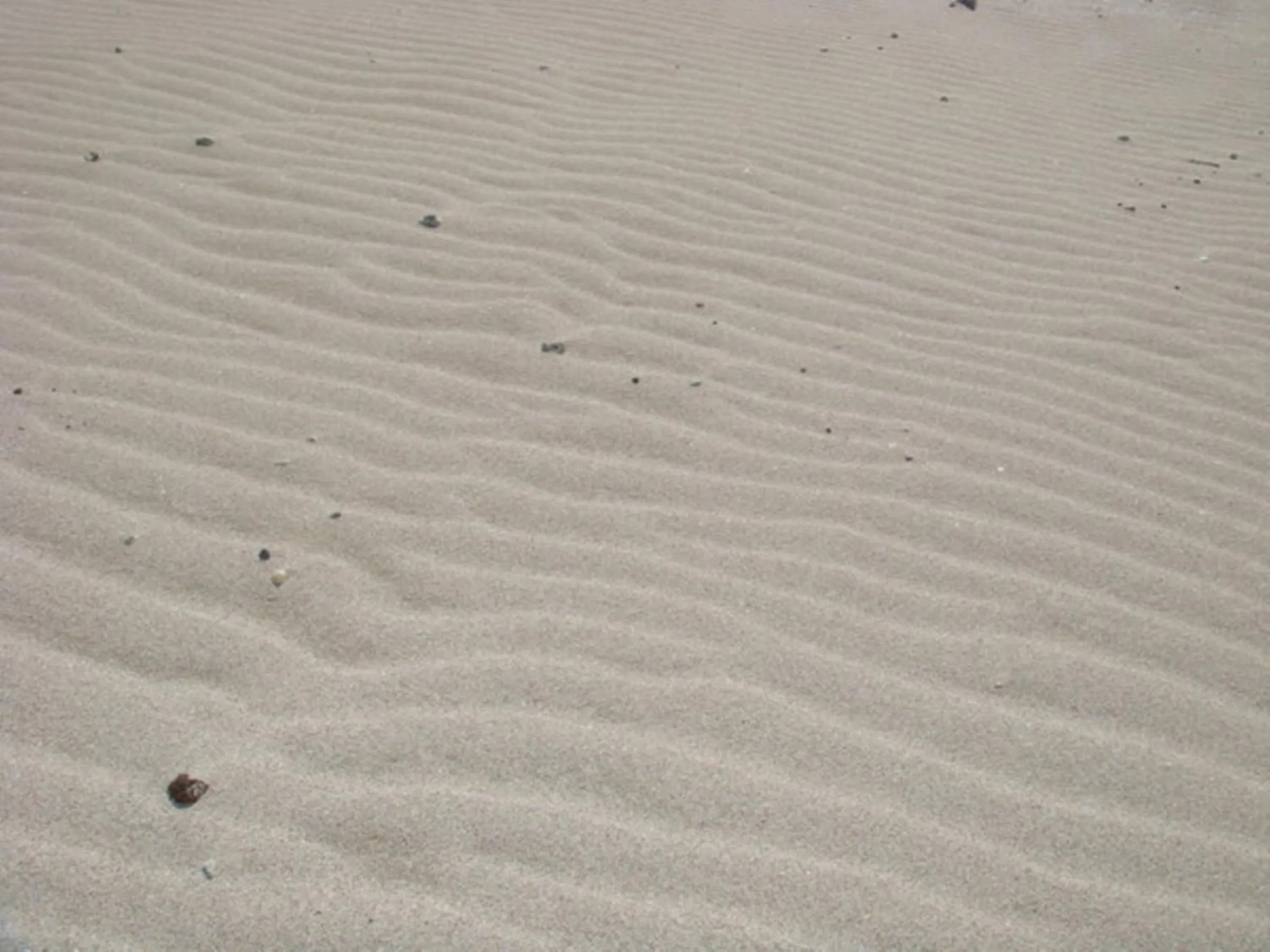 Activities in Welcome Inn SunnySteps