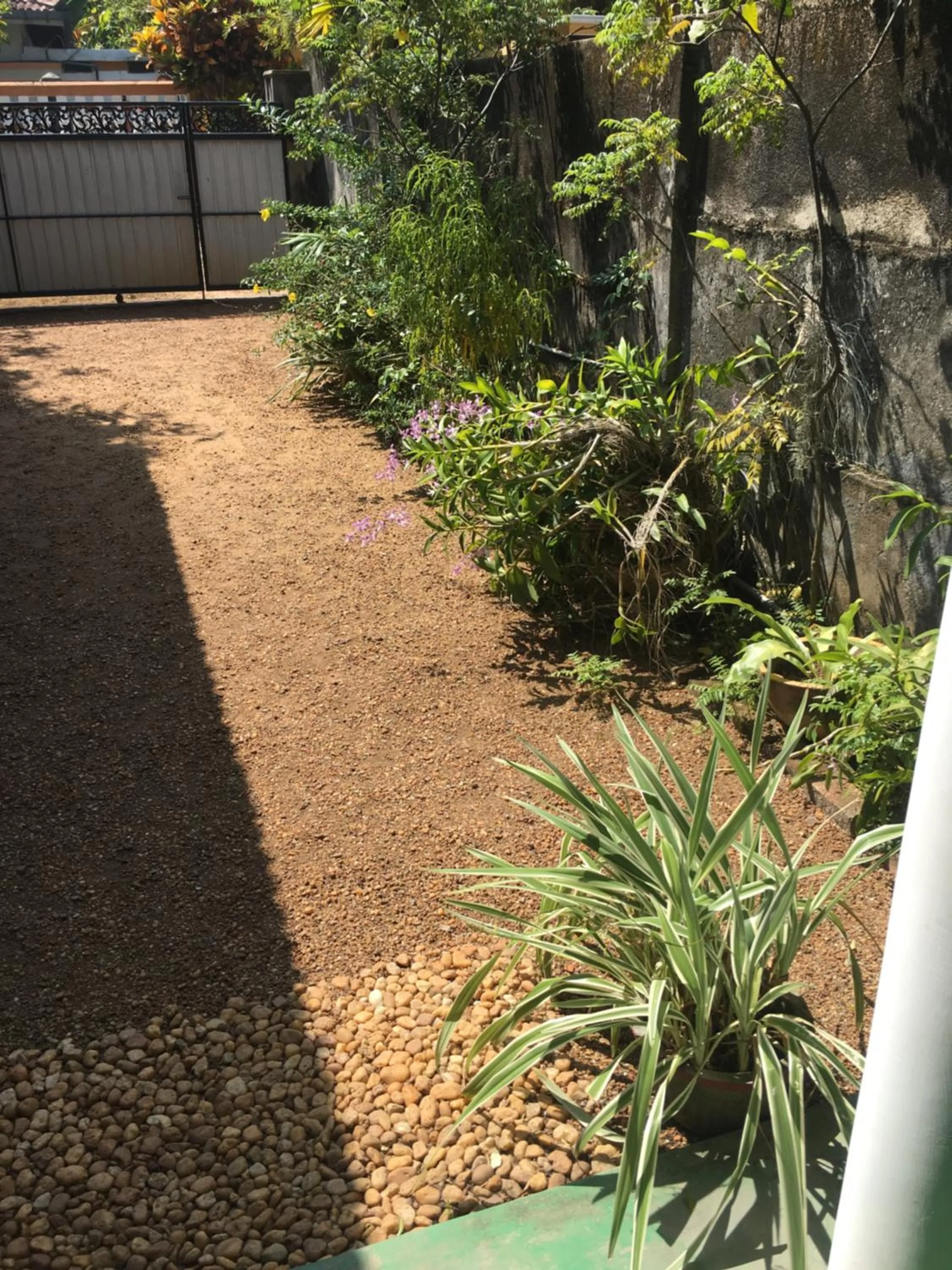 Garden in Vivid Lanka