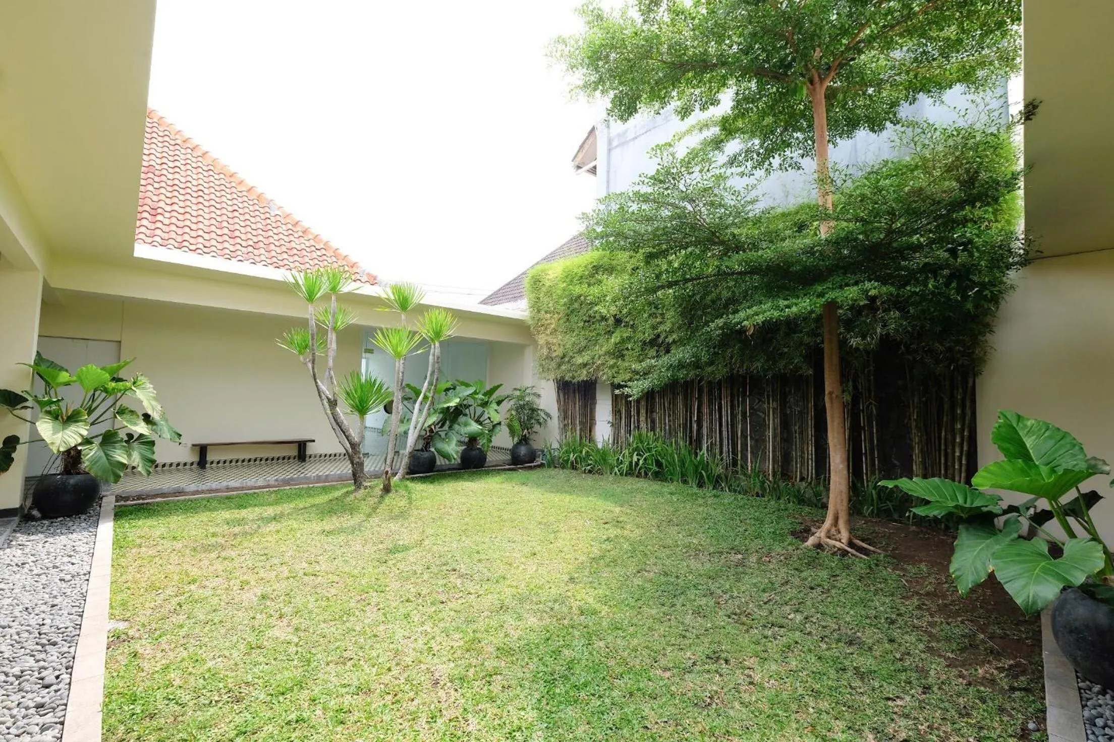 Garden in RedDoorz Plus @ Demangan Gejayan