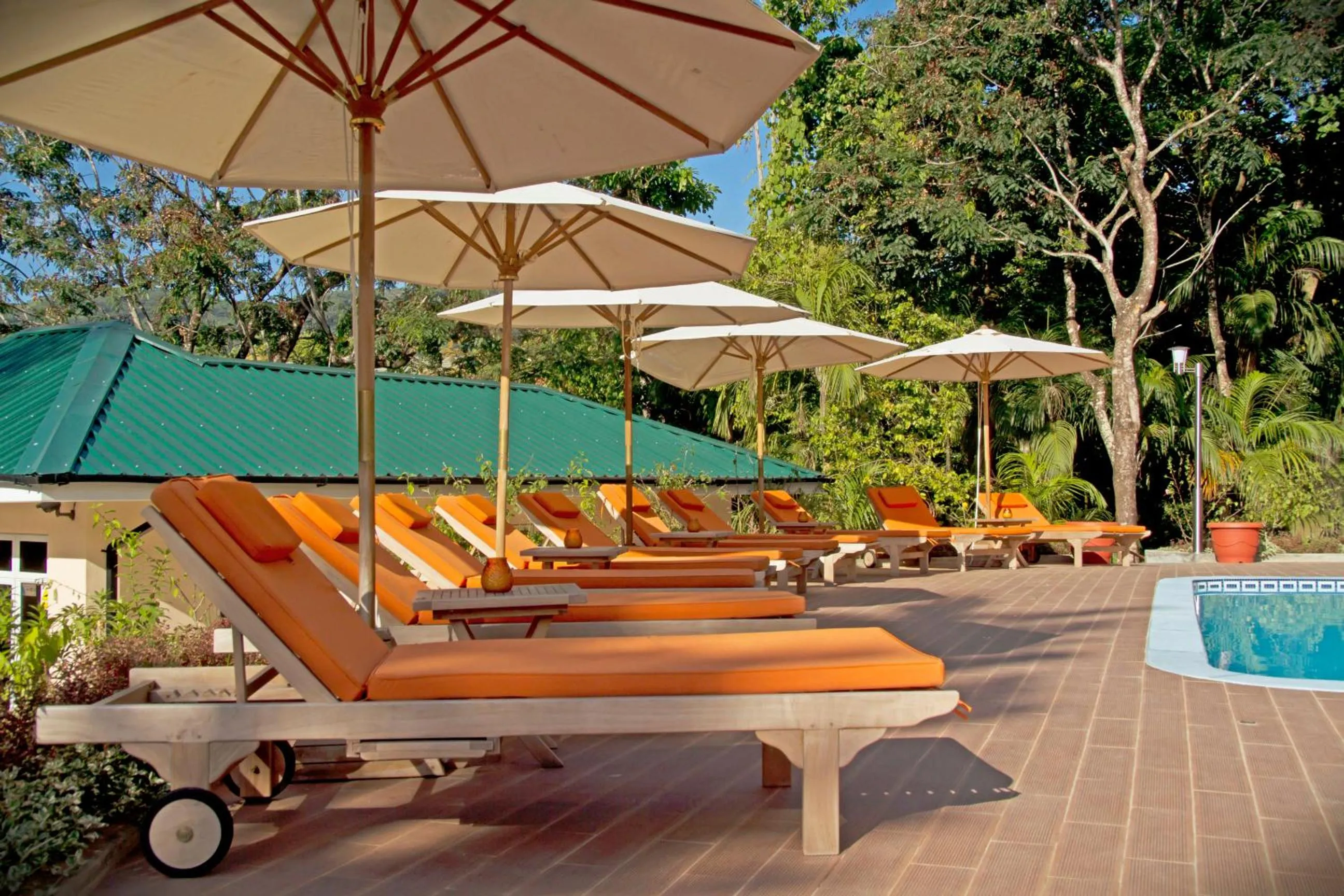 Swimming pool in The Palm Seychelles