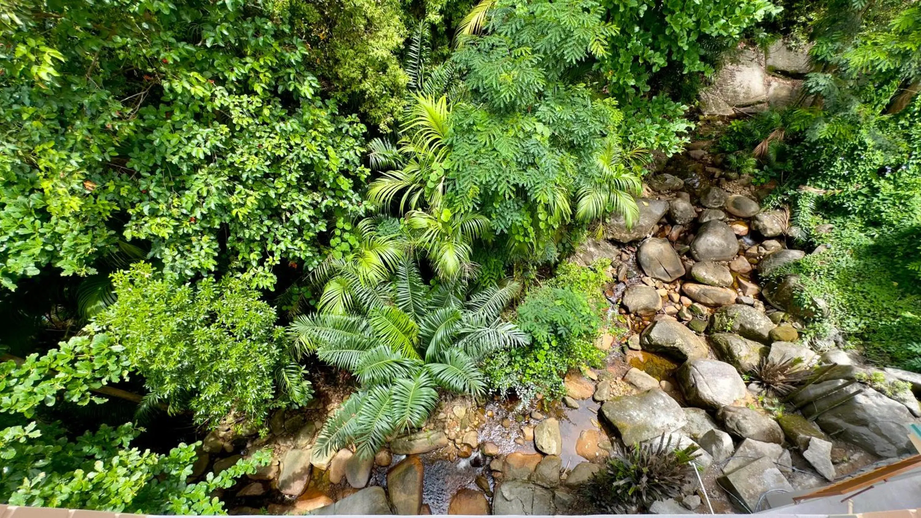 River view in The Palm Seychelles River view in The Palm Seychelles