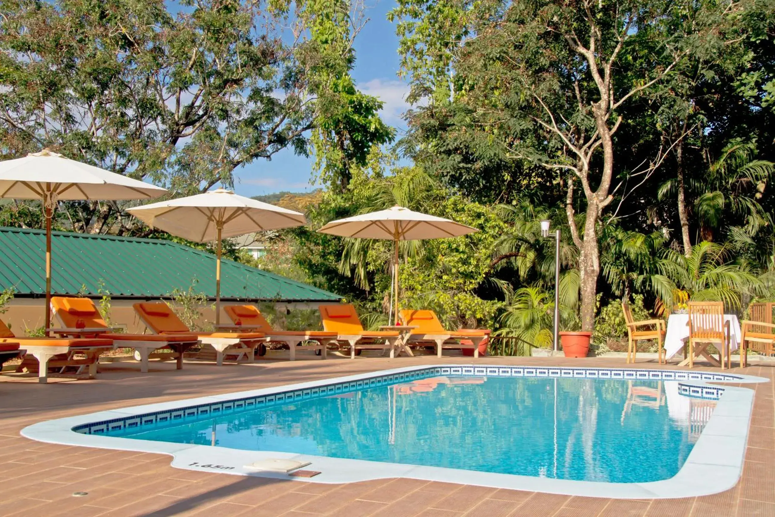 Pool view in The Palm Seychelles Pool view in The Palm Seychelles