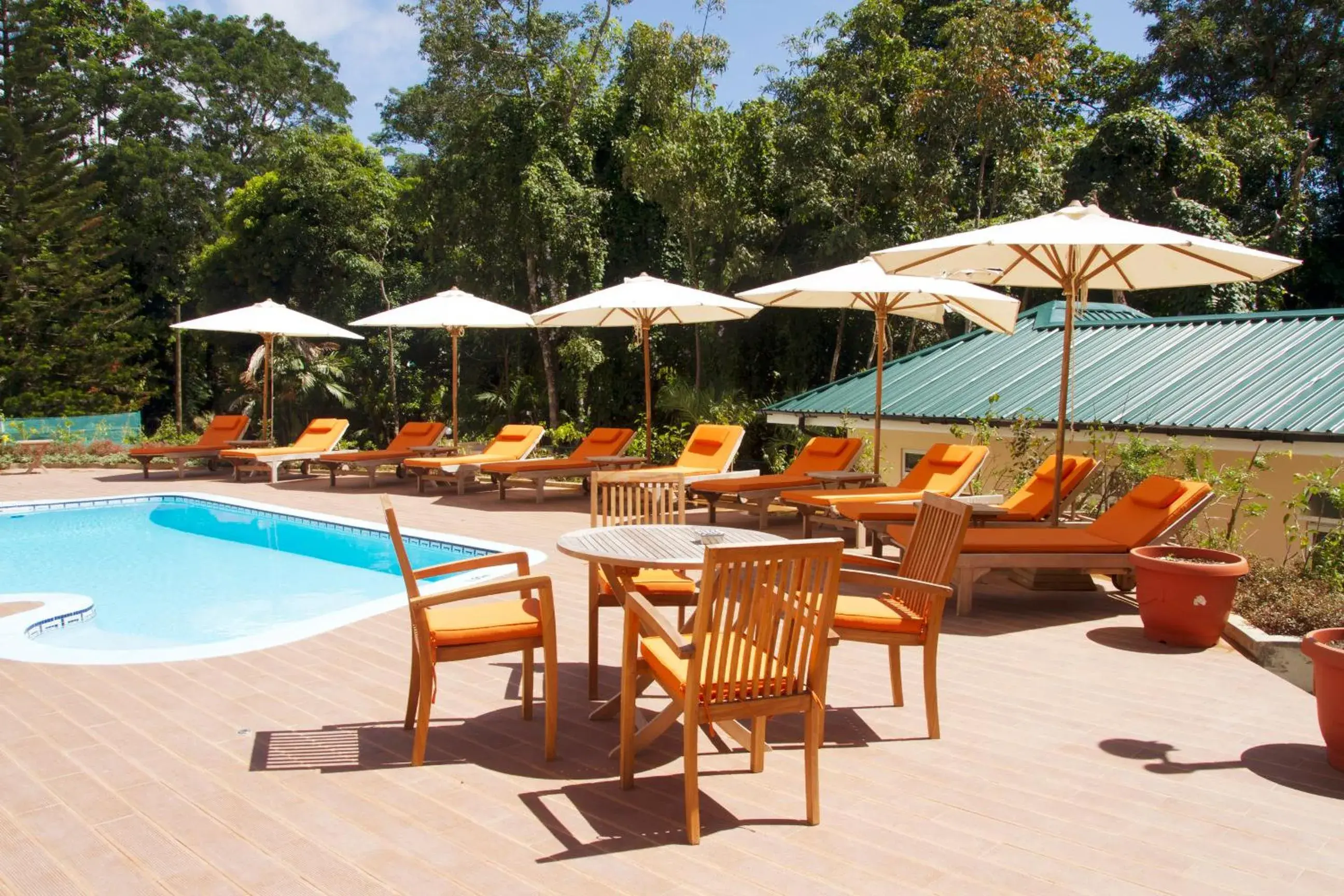 Swimming pool in The Palm Seychelles Swimming pool in The Palm Seychelles