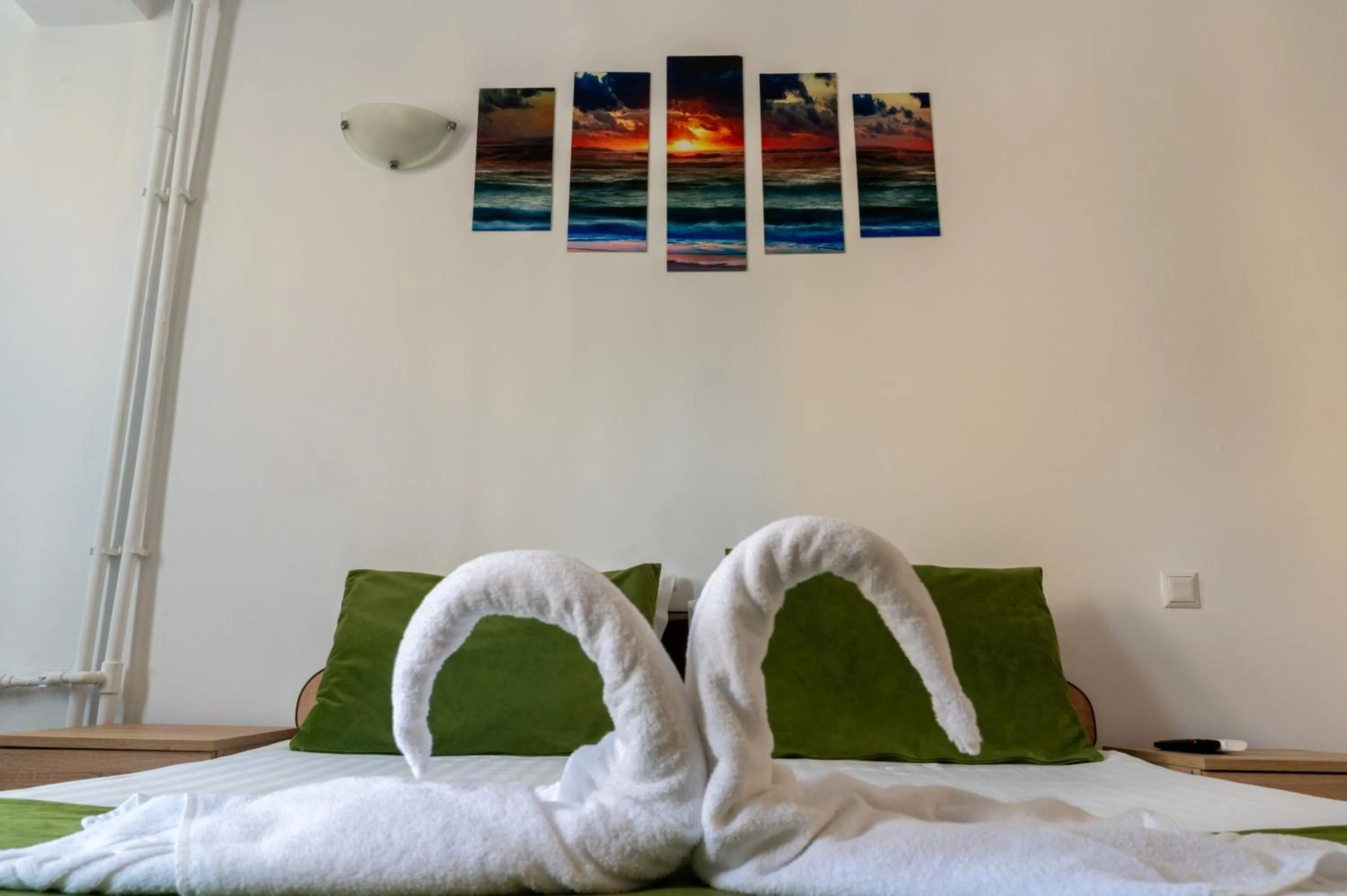 Photo of the whole room in Hotel Dobrogea