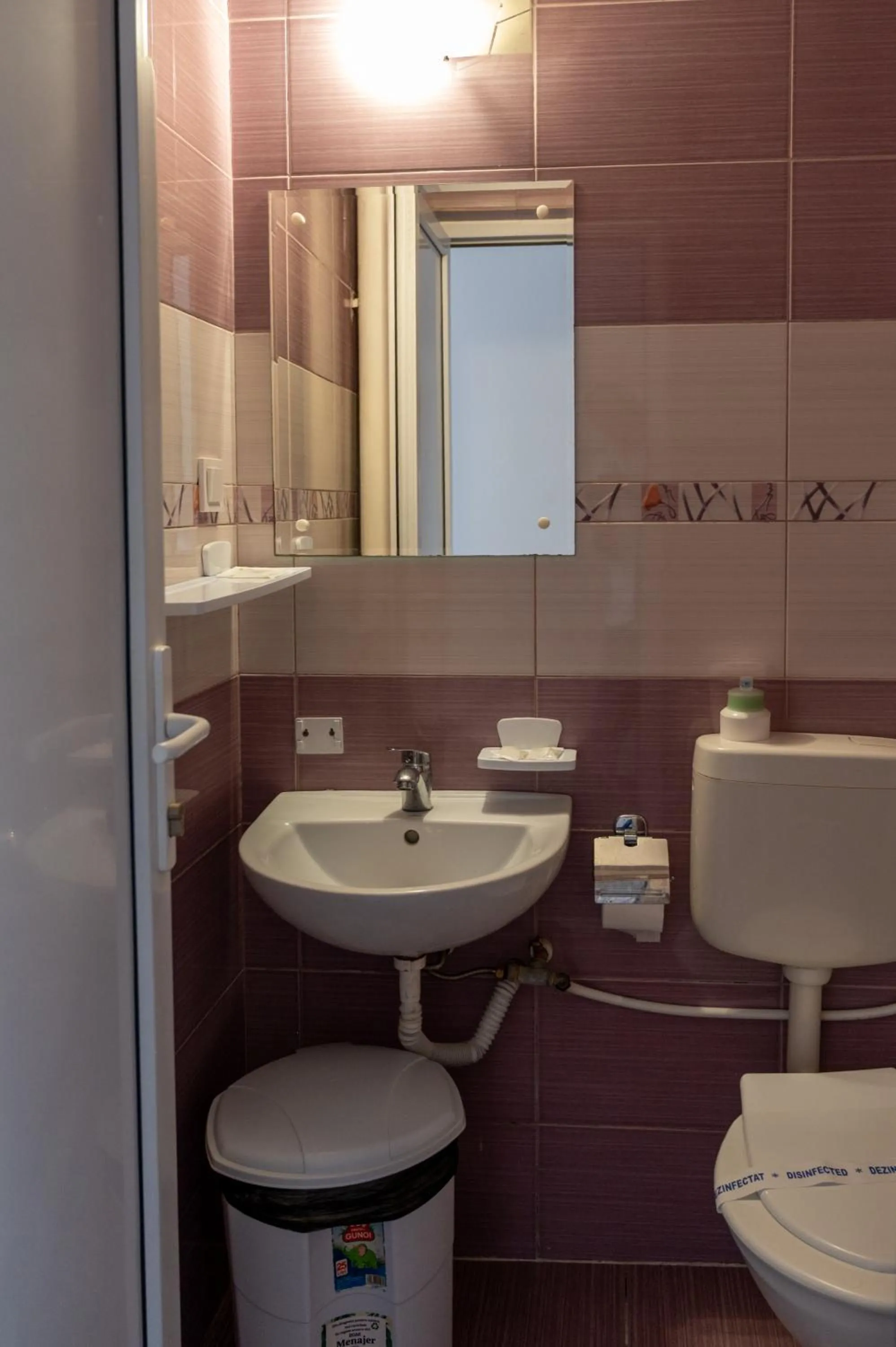 Bathroom in Hotel Dobrogea