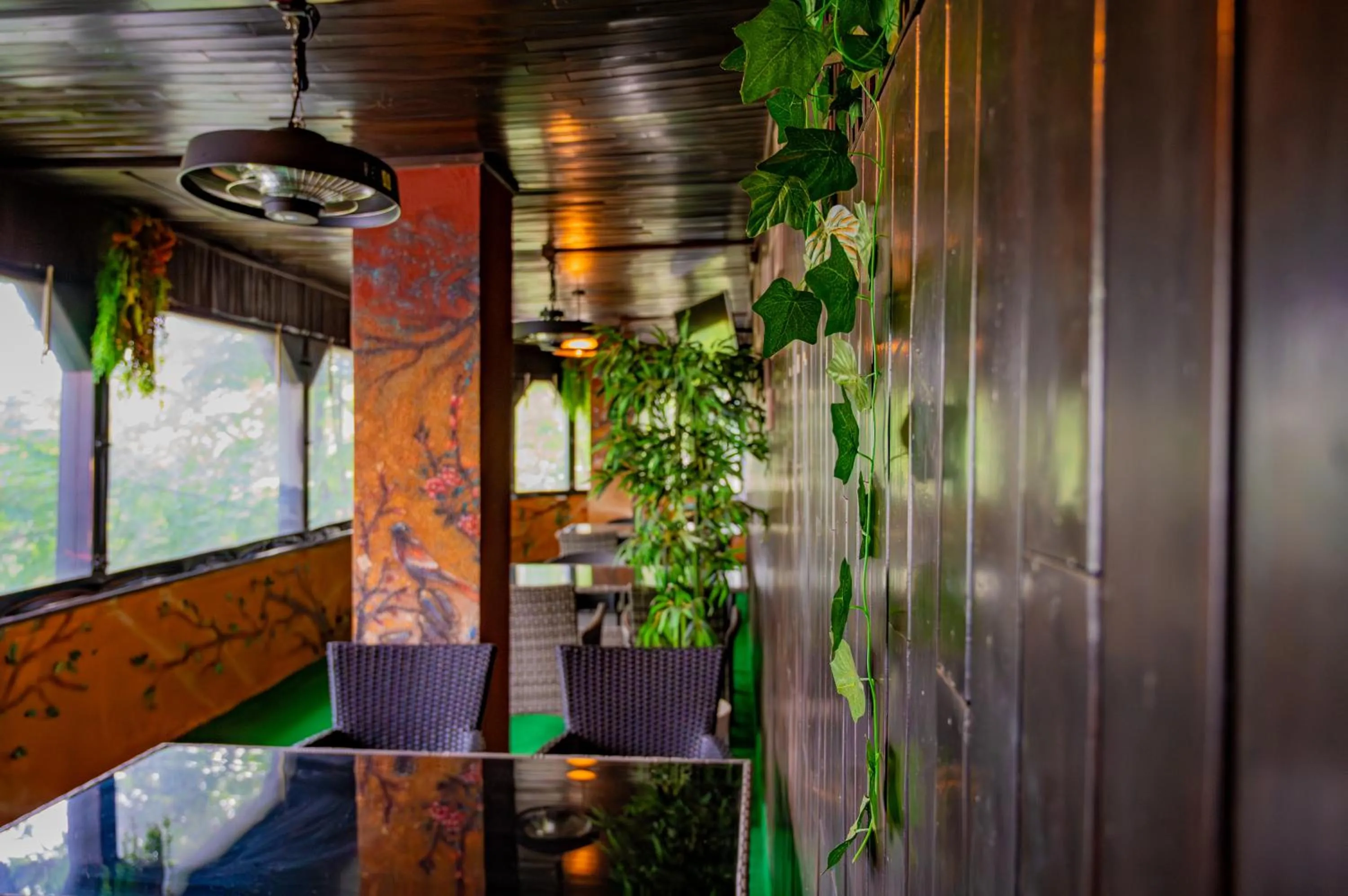 Restaurant/places to eat in Hotel Dobrogea