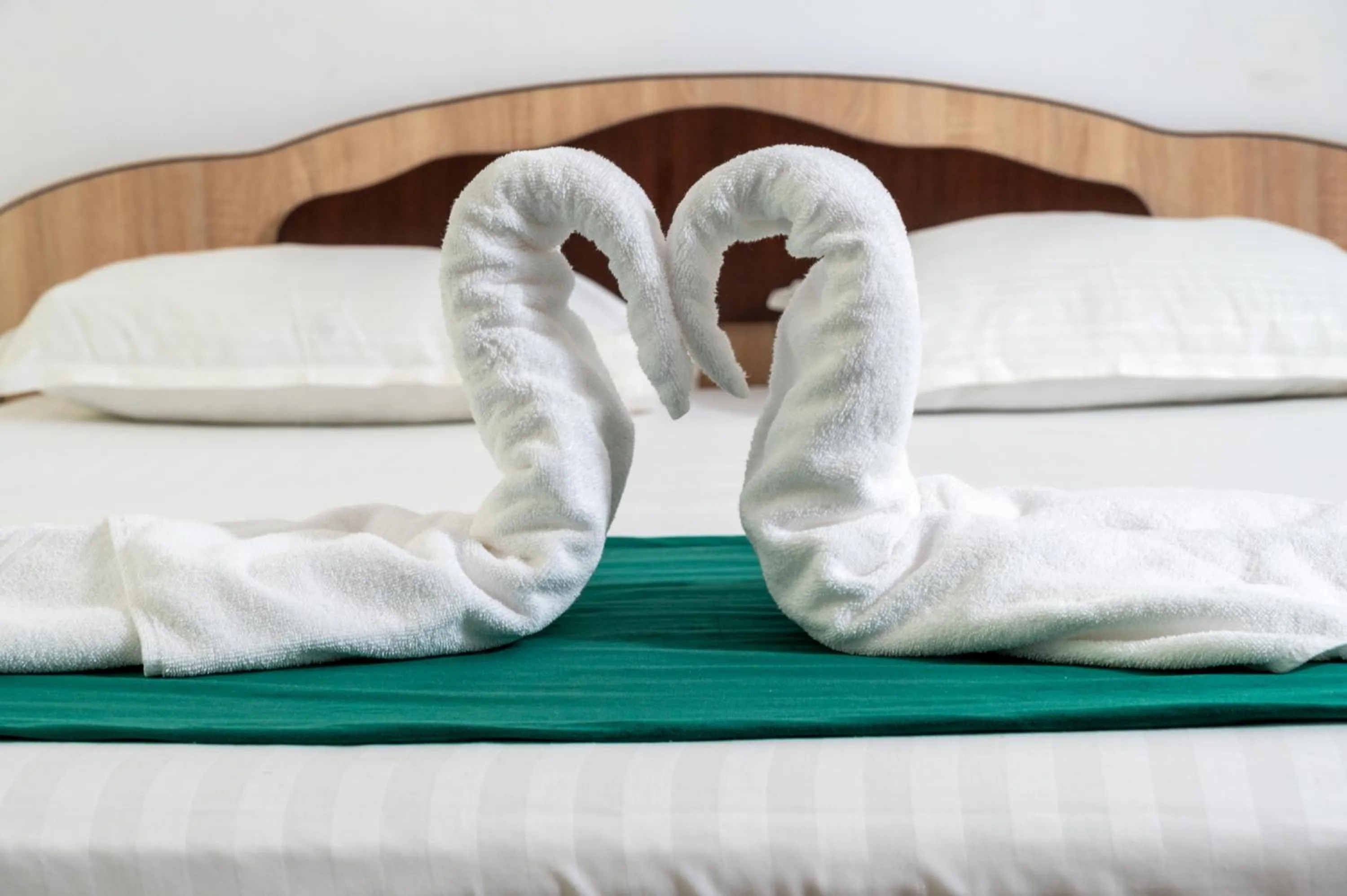 Photo of the whole room, Bed in Hotel Dobrogea