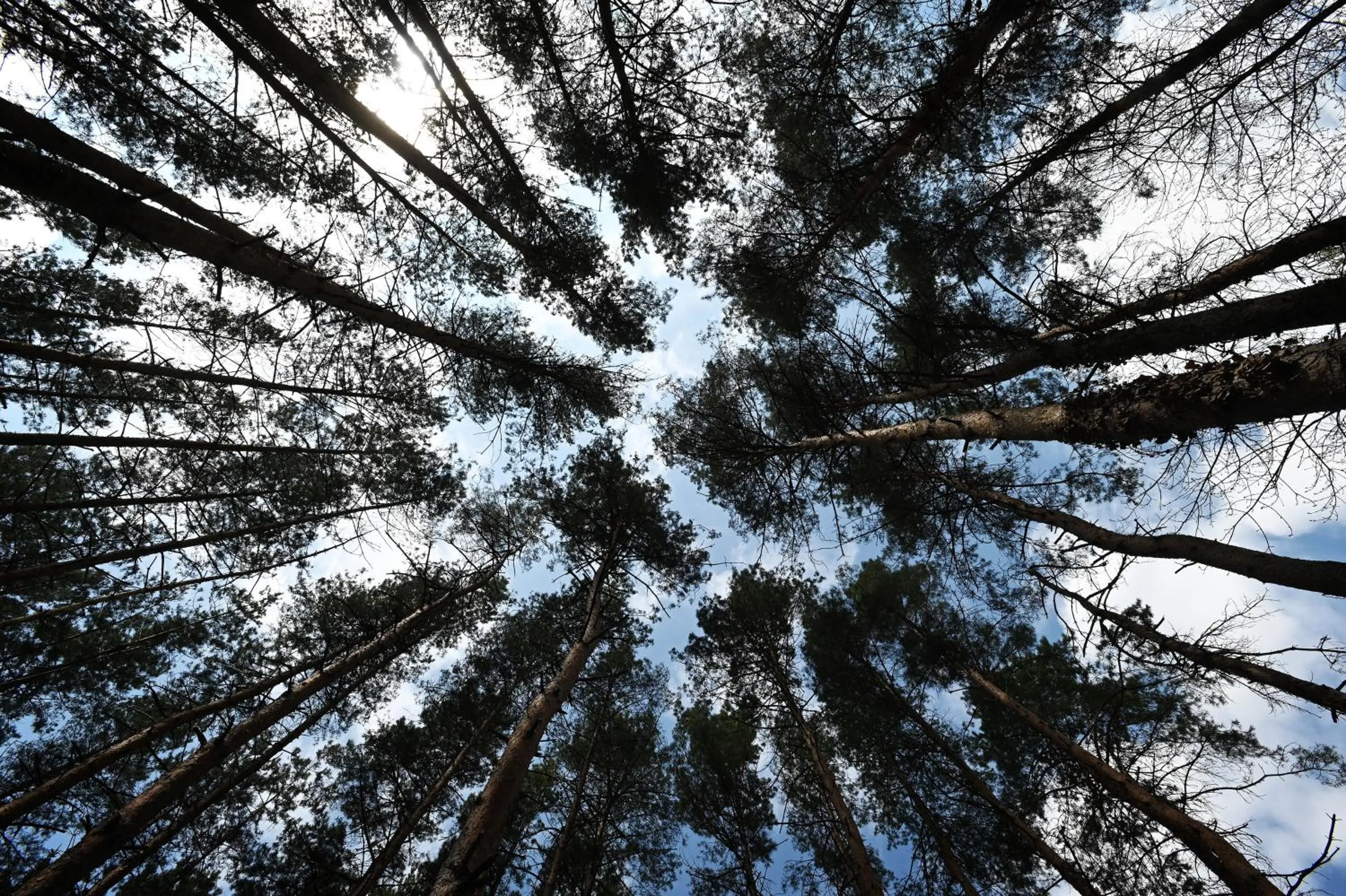 Property building in Panorama Hotel Noszvaj